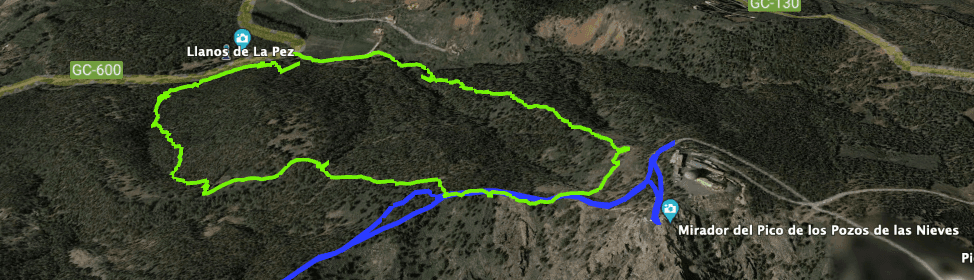 Variante Track: Kleine Rundtour von Llanos de la Pez zum Pico de las Nieves (grün)