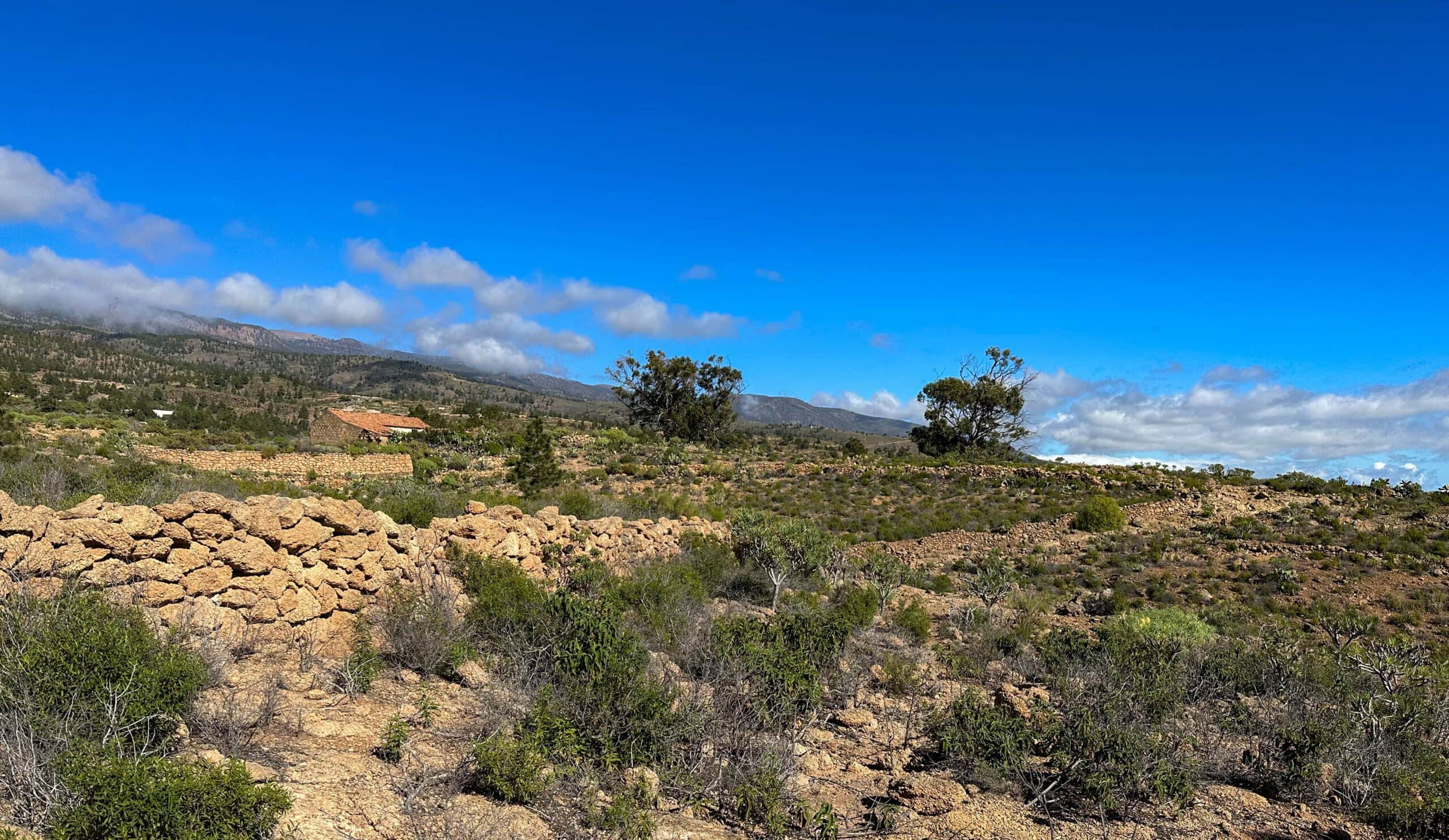 Wandern auf dem Camino Real del Sur unterhalb von Las Vegas