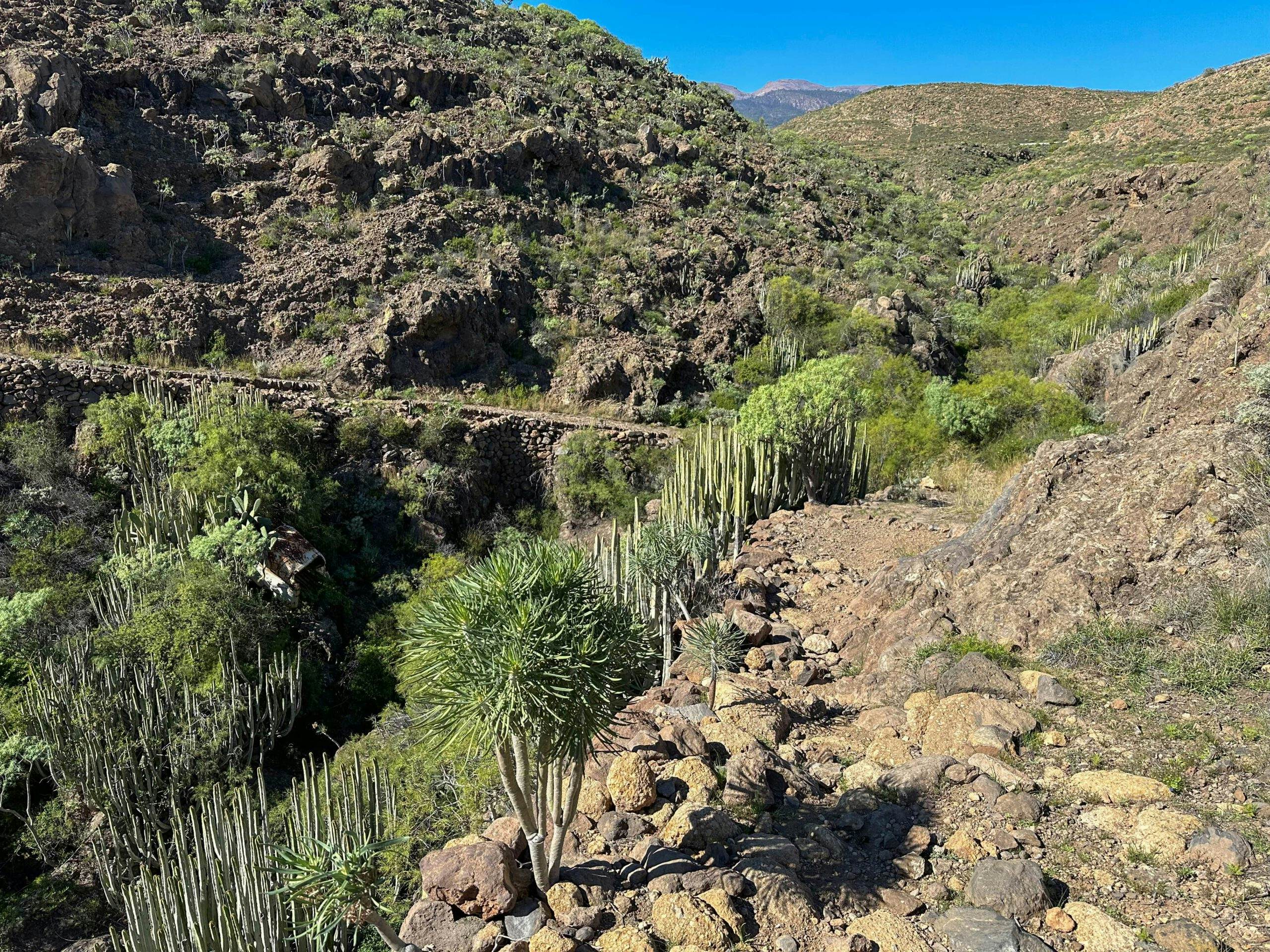 Hiking trail through a barranco before Arico