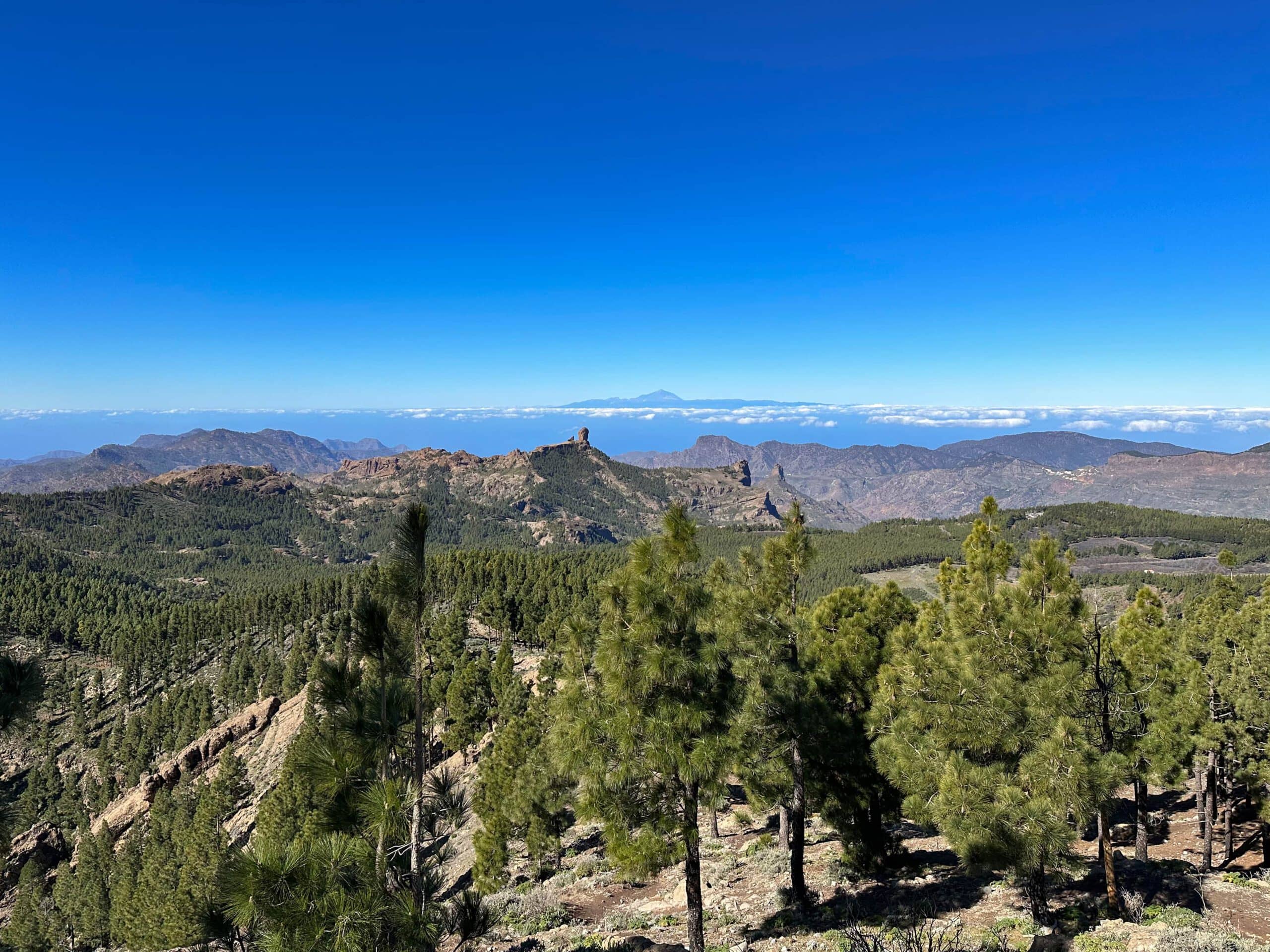 Blick unterhalb des Pico de las Nieves hinüber zum Roque Nublo und nach Teneriffa