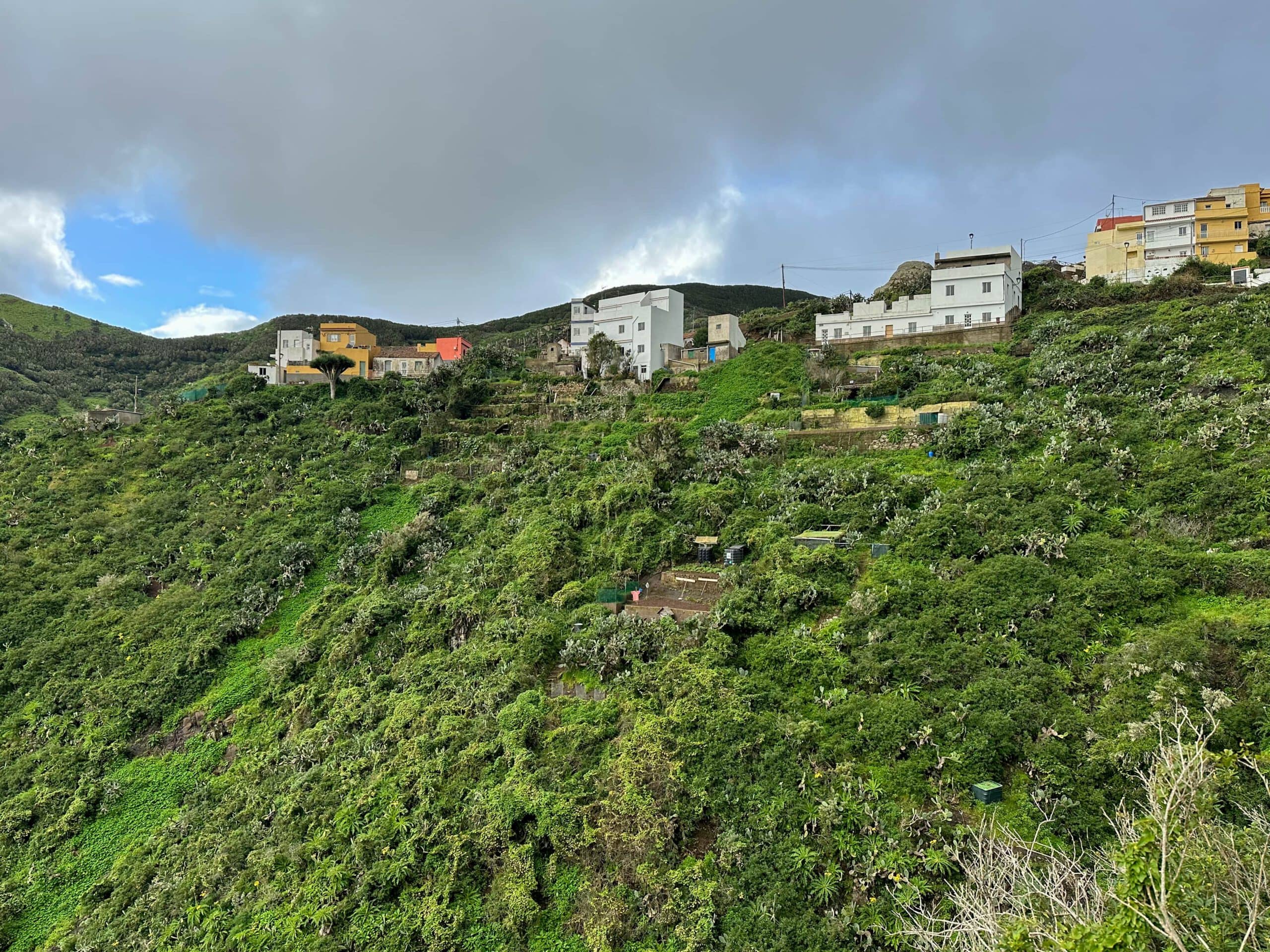 el pequeño pueblo de Lomo de las Bodegas en el Anaga por encima del Barranco Anosma