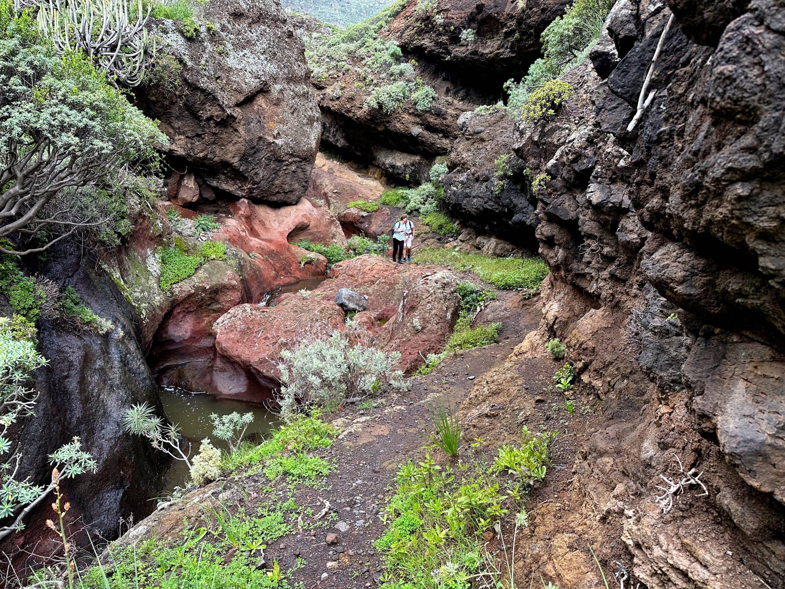 Hikers on the way through the Barranco Anosma