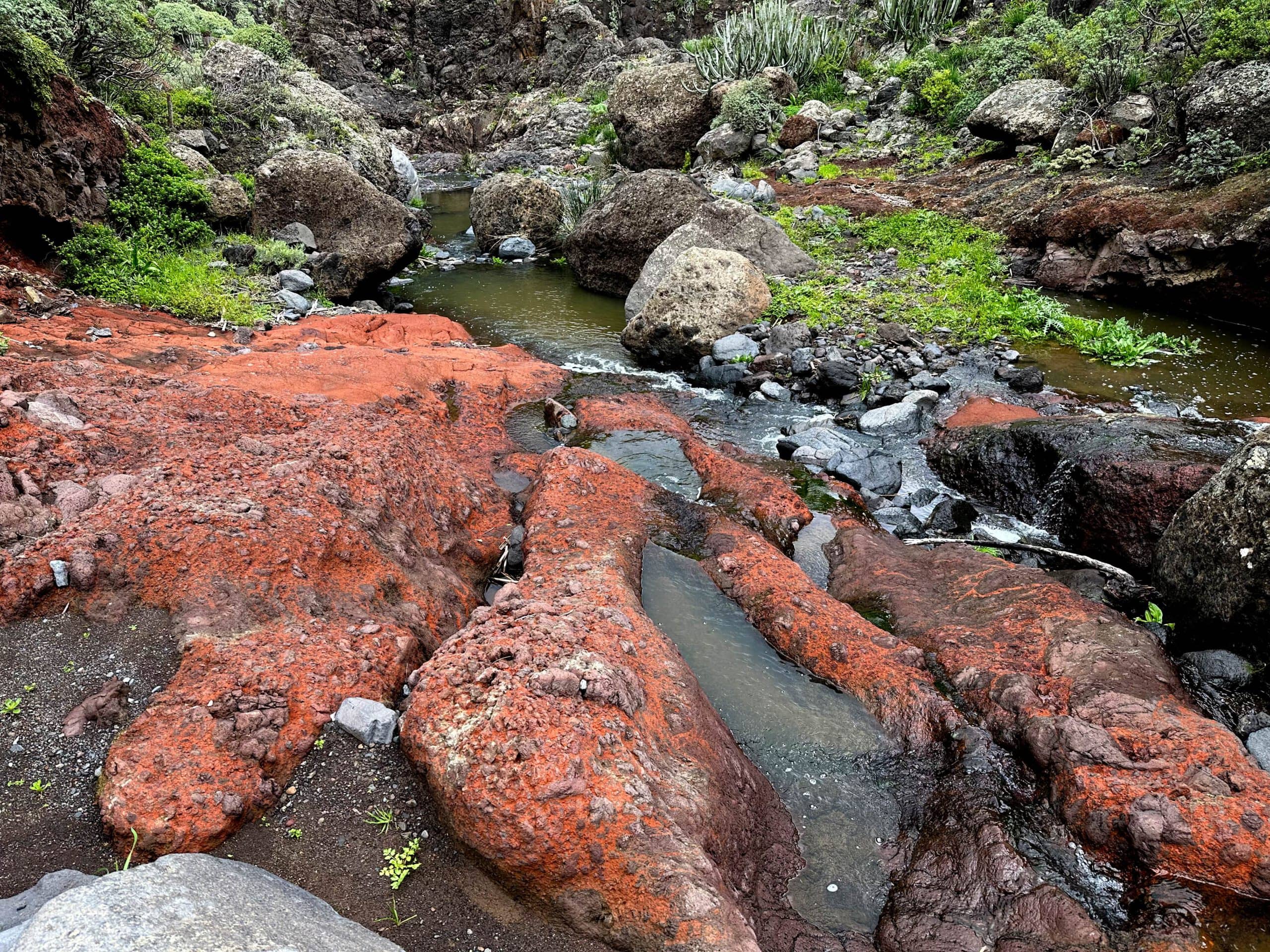 La ruta de senderismo cruza varias veces los pequeños arroyos del Barranco 