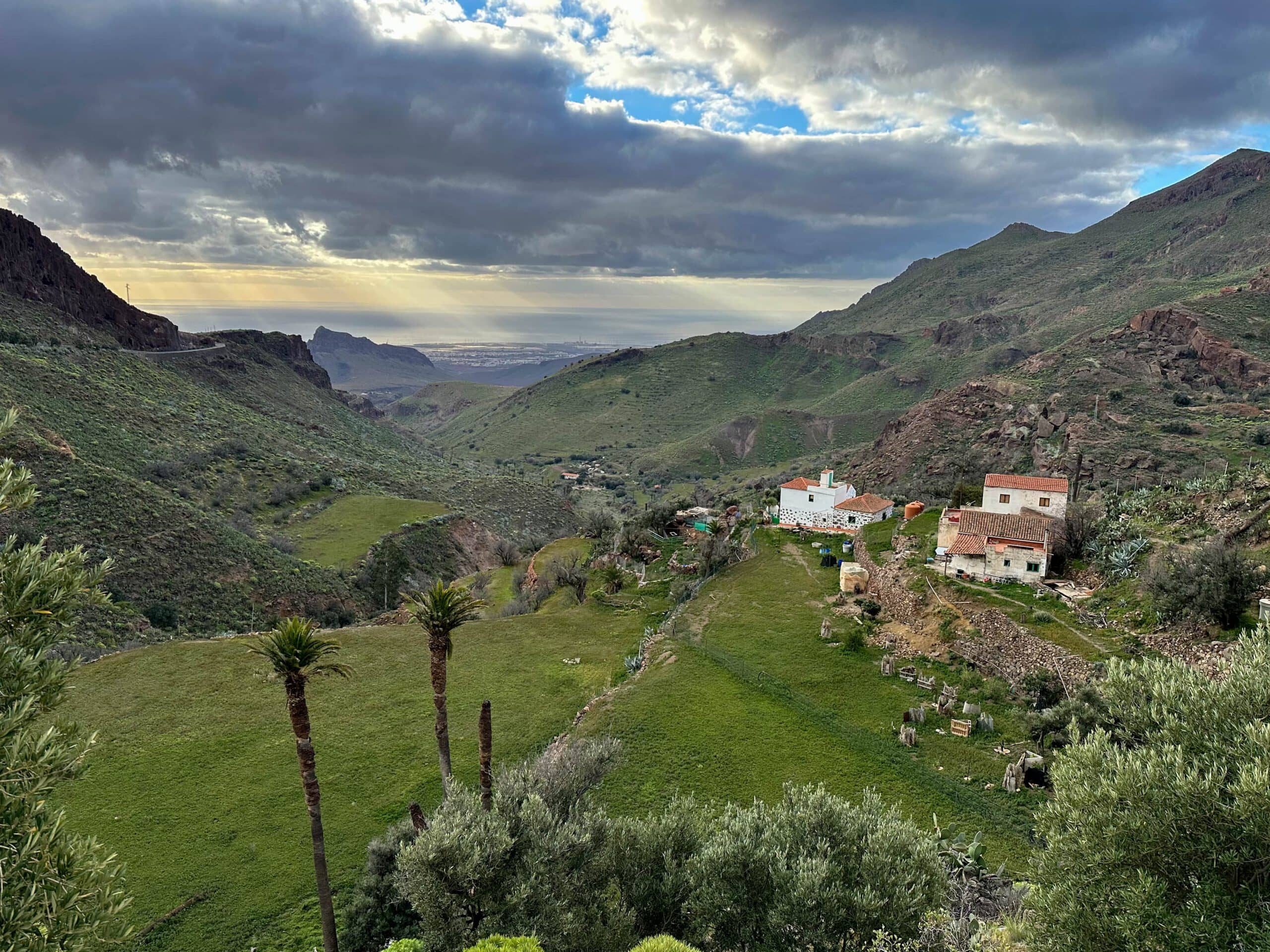 Terraced fields and meadows near Temisas