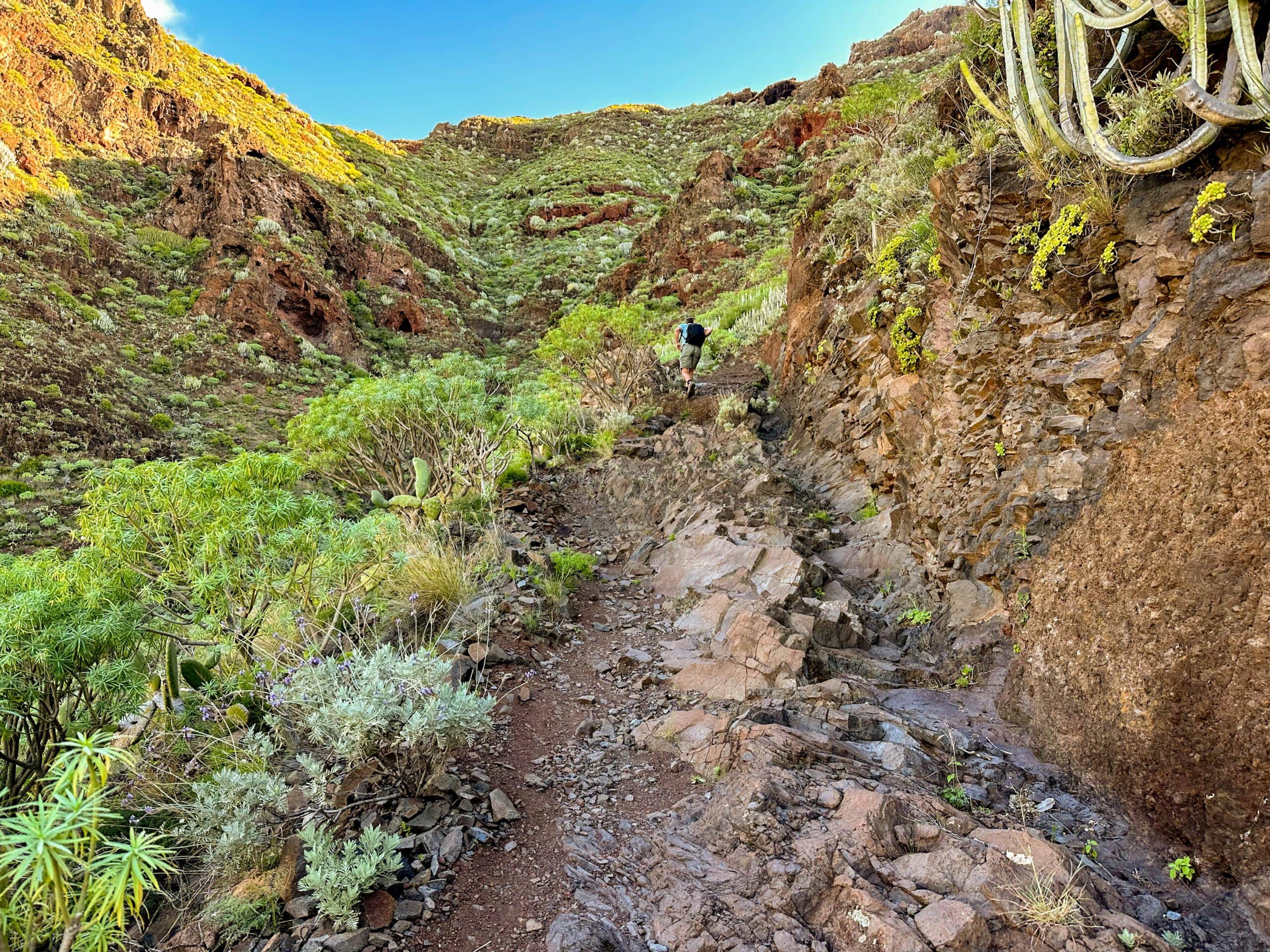 Steep ascent to the ridge