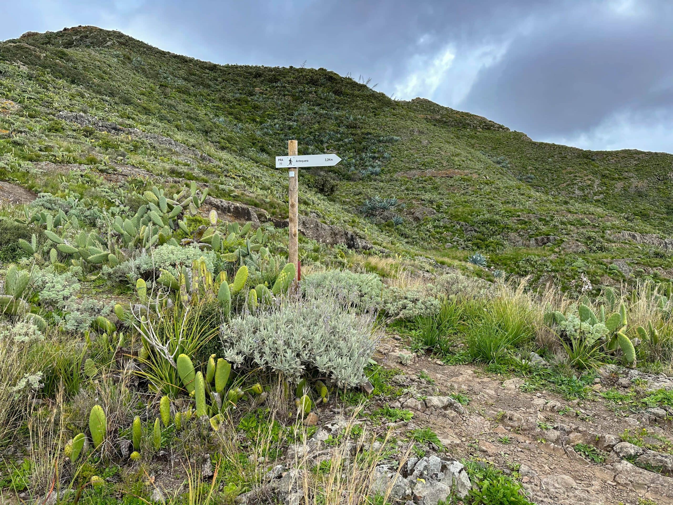 Gratweg und Wanderkreuzung mit dem Wanderweg von Igueste nach Chamorga