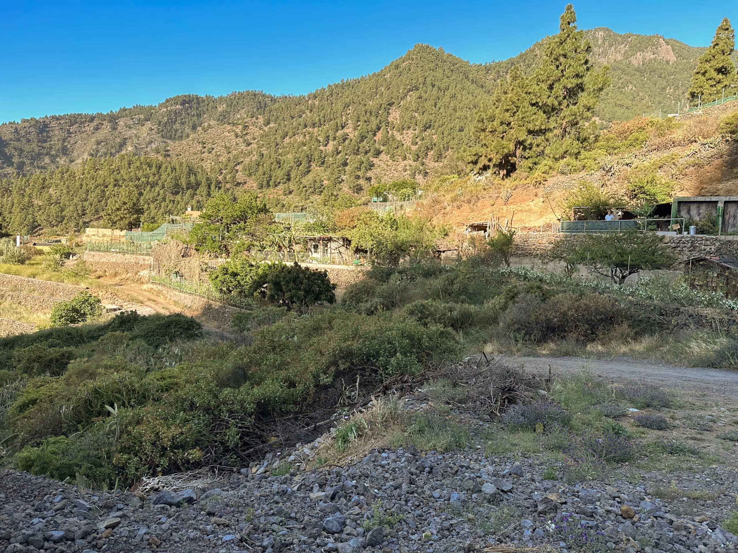 Hikers on the path at the junction of the Camino del Márgenes with the ascent path.