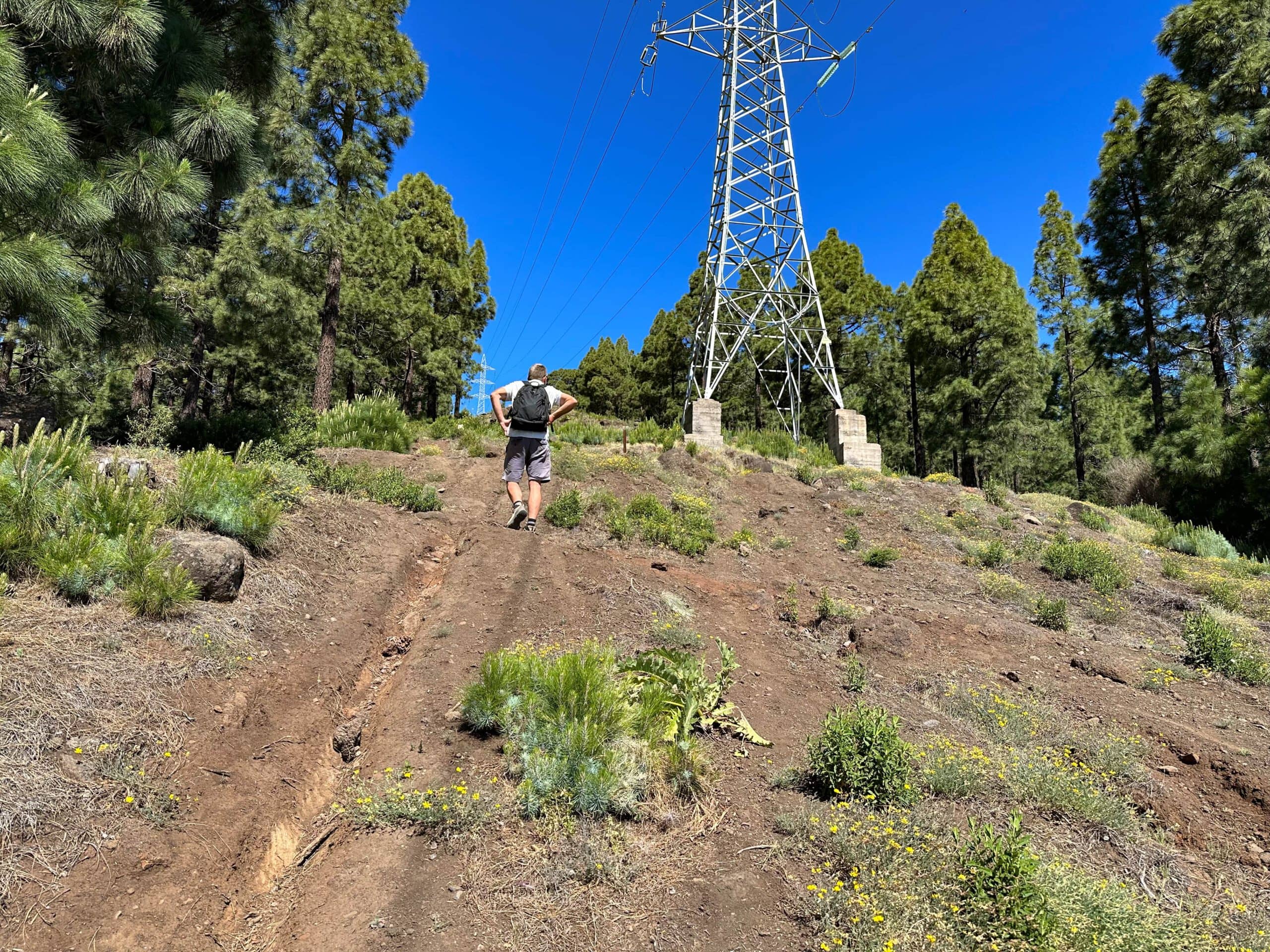 Hiking path steeply uphill parallel to electric lines