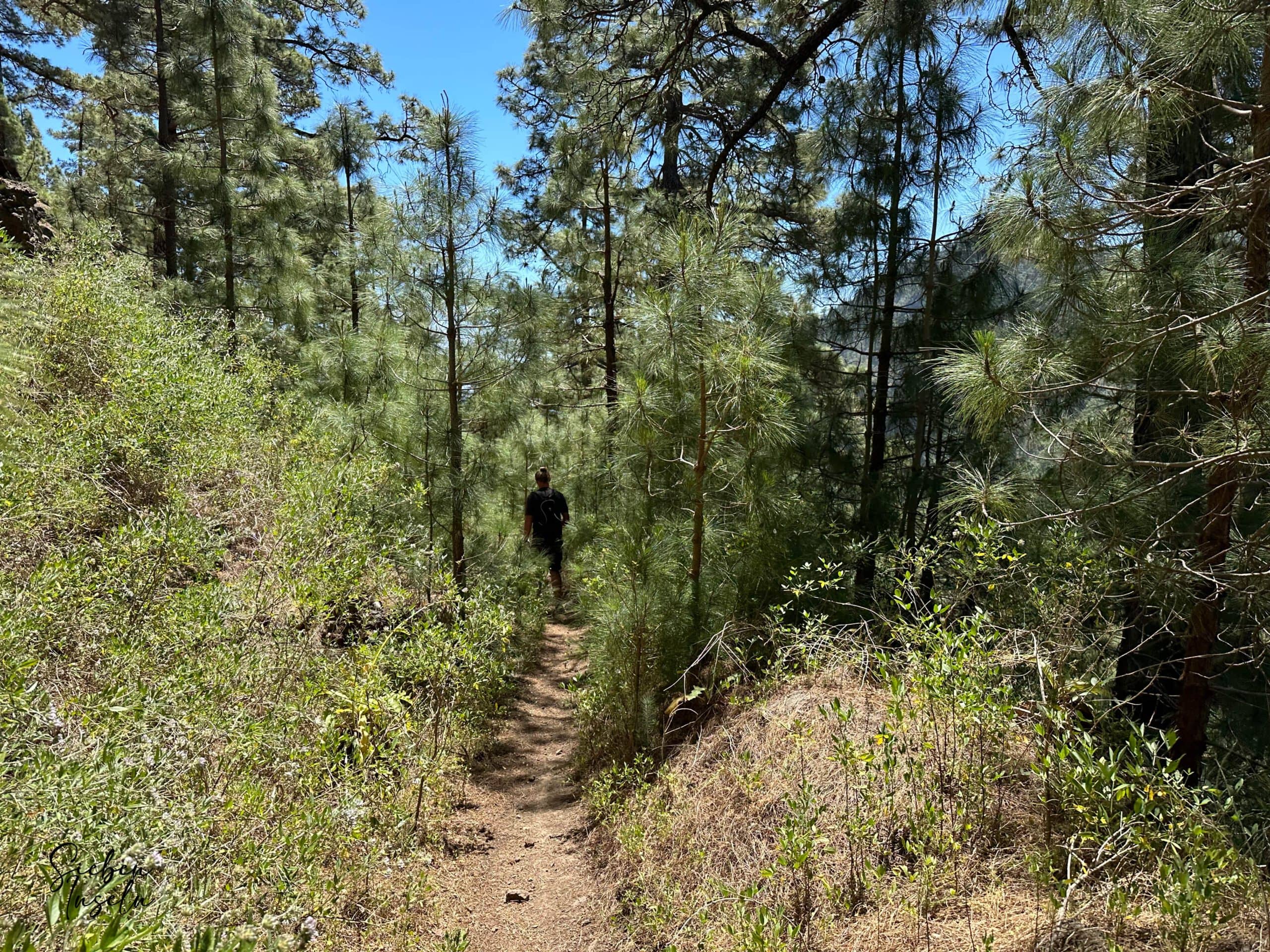 Senda de descenso hacia Igueste de Candelaria por encima del Barranco de Leres