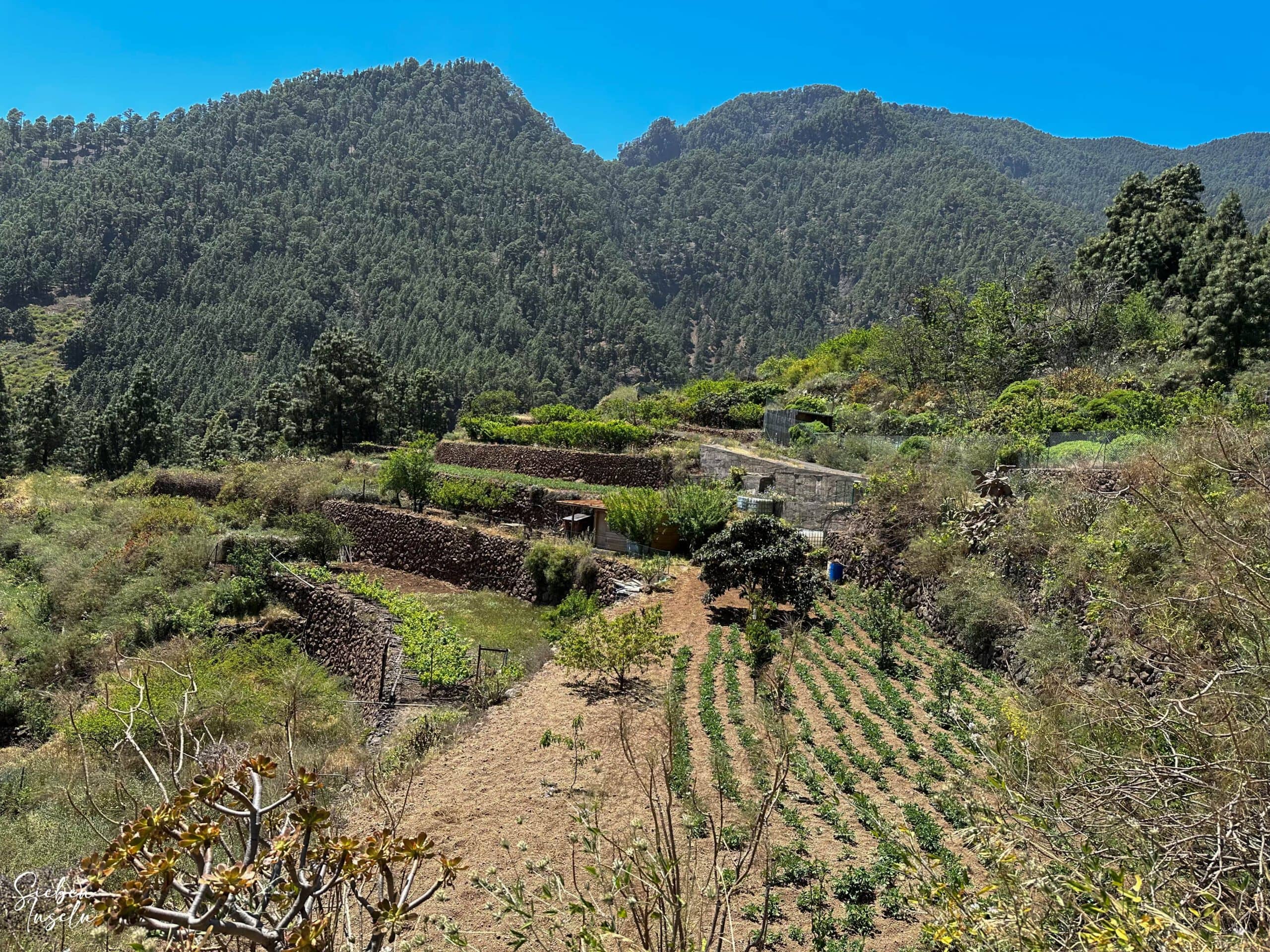 View from the descent path over the valley with terraced fields and the mountain range to Igonse