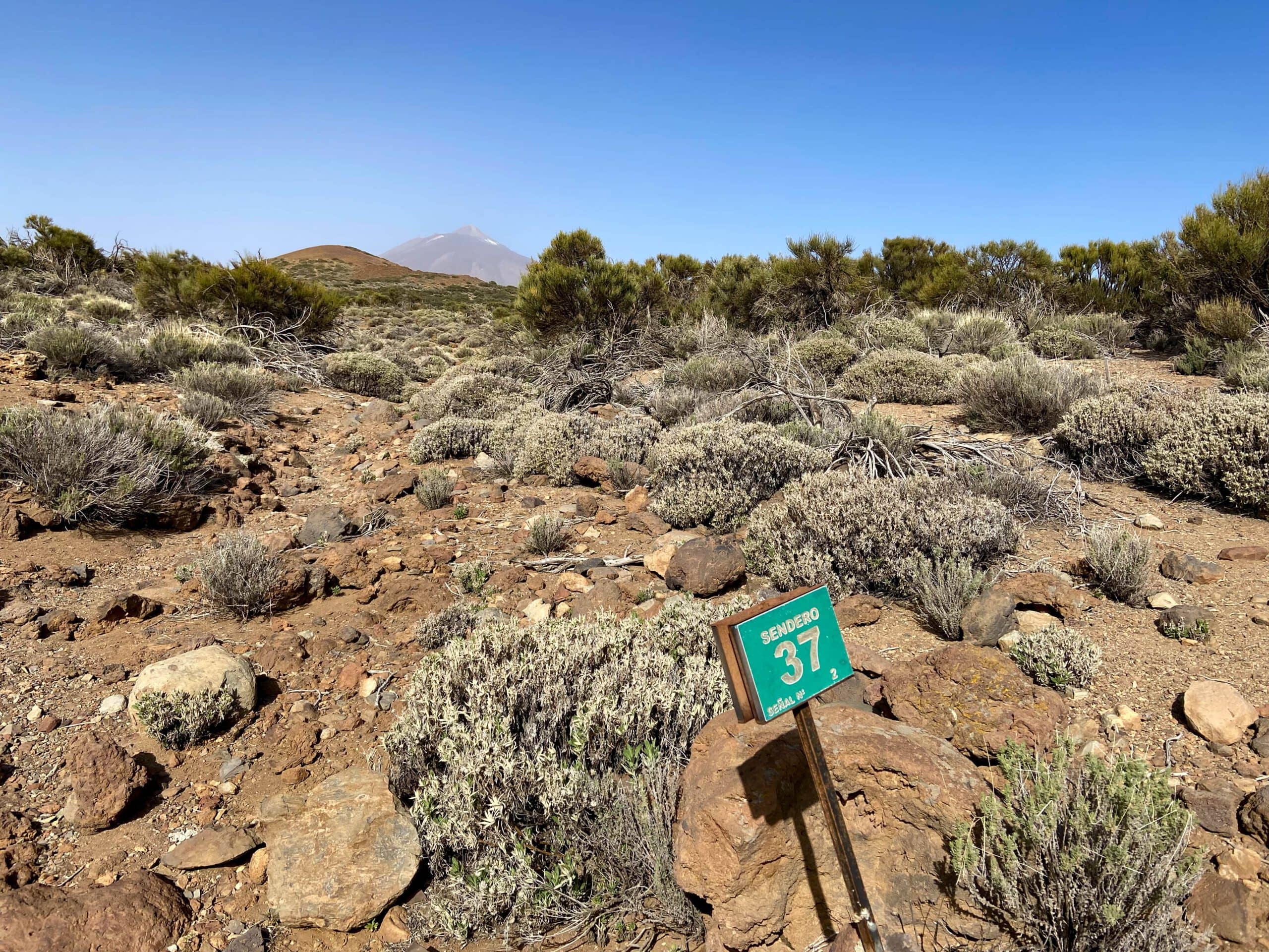 Sendero 37 - cruce desde el sendero S-2 en dirección a la ruta Siete Cañadas en la Cumbre