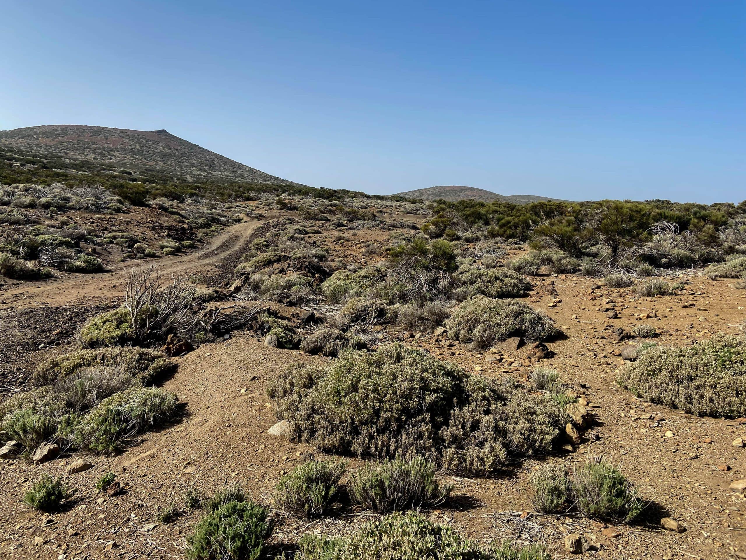 Hiking trail through a rather barren volcanic landscape to the high trail Siete Cañadas