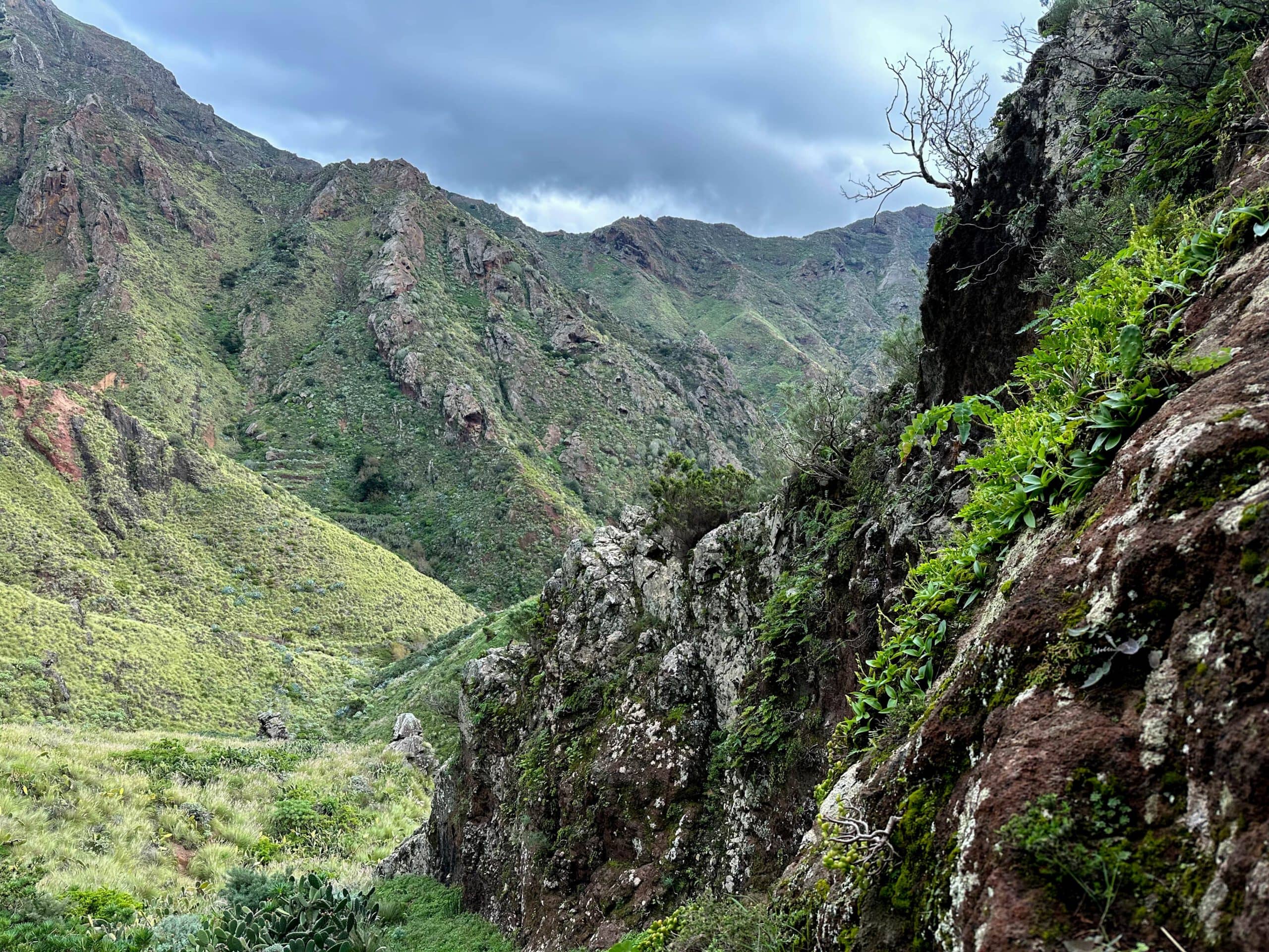 Blick vom Canal de Chabuco hinunter in die Schluchten des Anaga