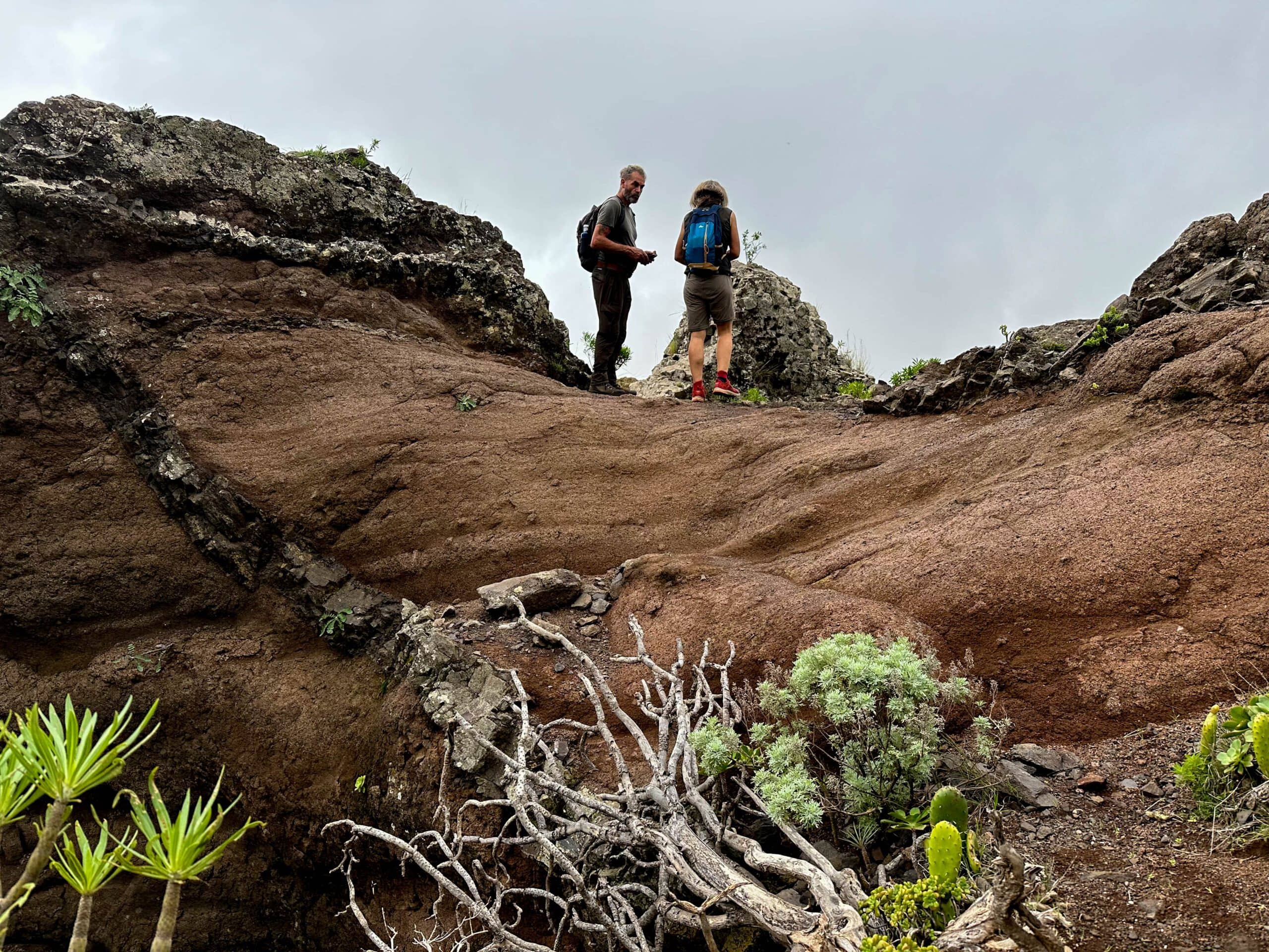 Hikers on the path over your ridge - a steep path leads up to the right. The canal path continues straight ahead.