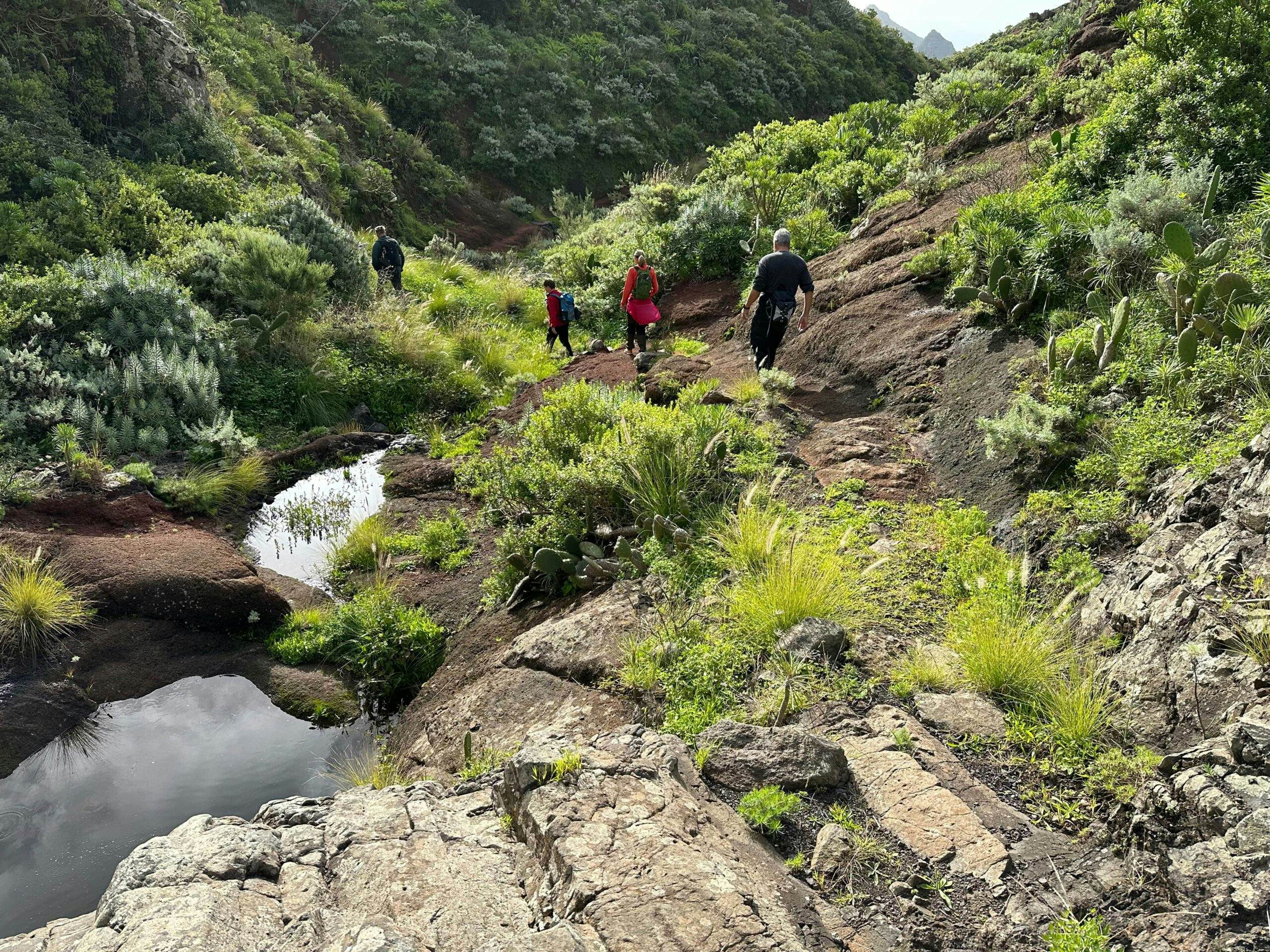 Hiking trail through the barranco with crossing of the slopes just above the Canal Chabuco - hiking trail up to Casas de la Cumbre