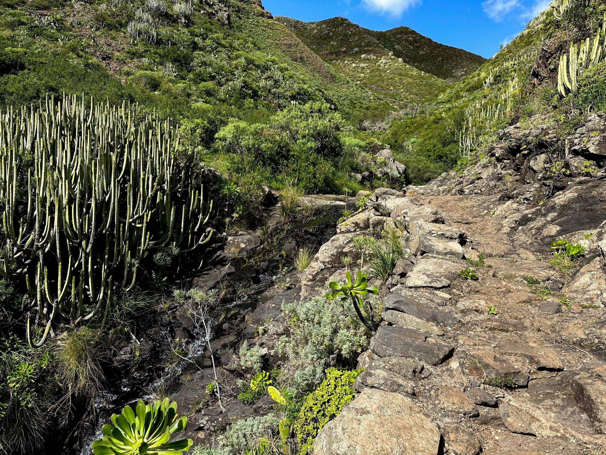 Hiking trail uphill towards Los Catalanes and Casas del Cumbre