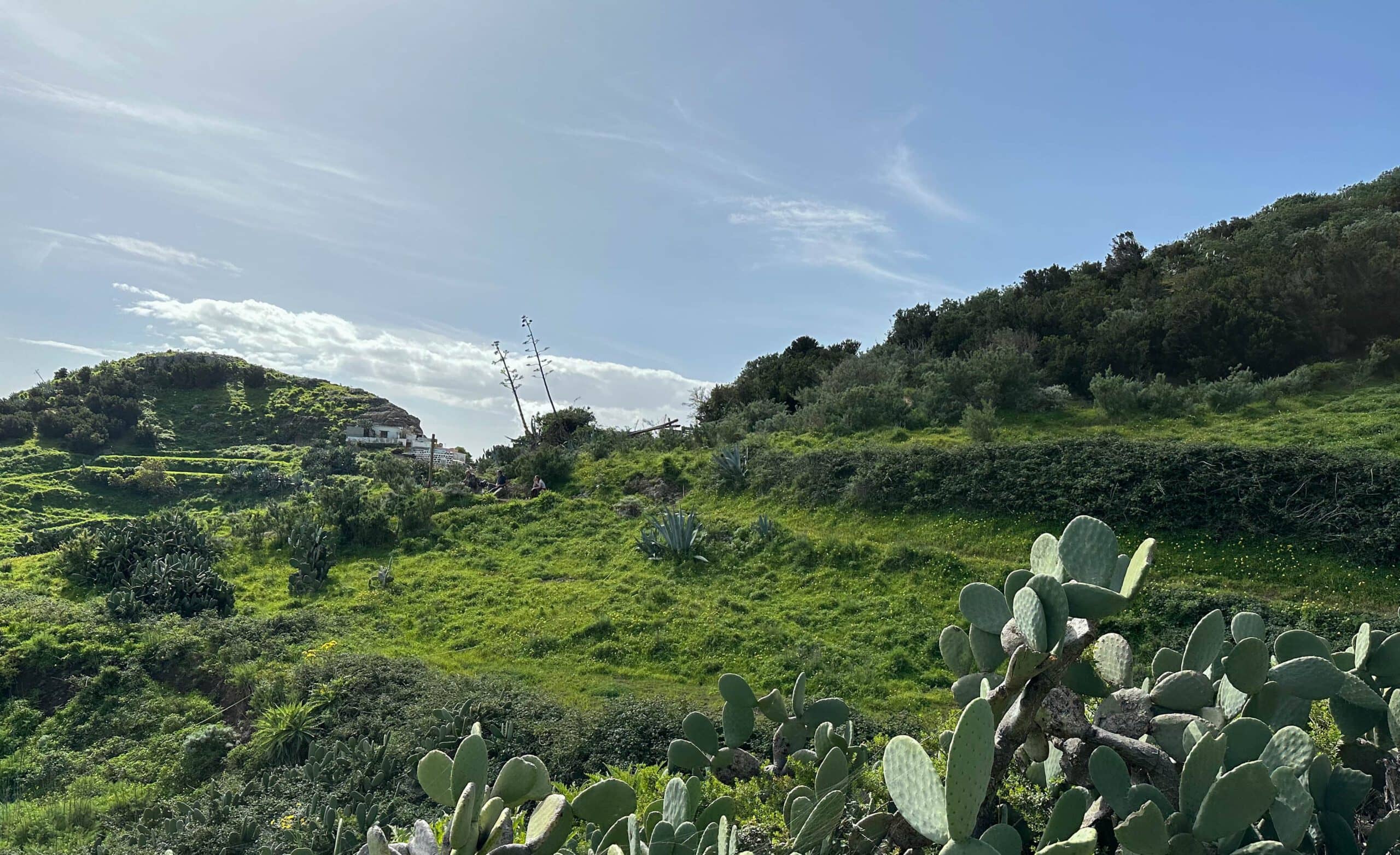 Hiking trail between Los Catalanes and Casas del Cumbre