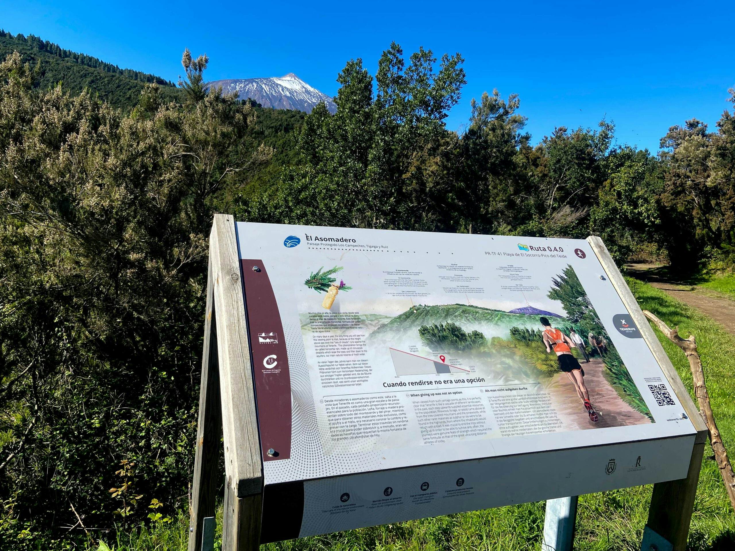 Informationstafel am Asomadero mit Teide im Hintergrund