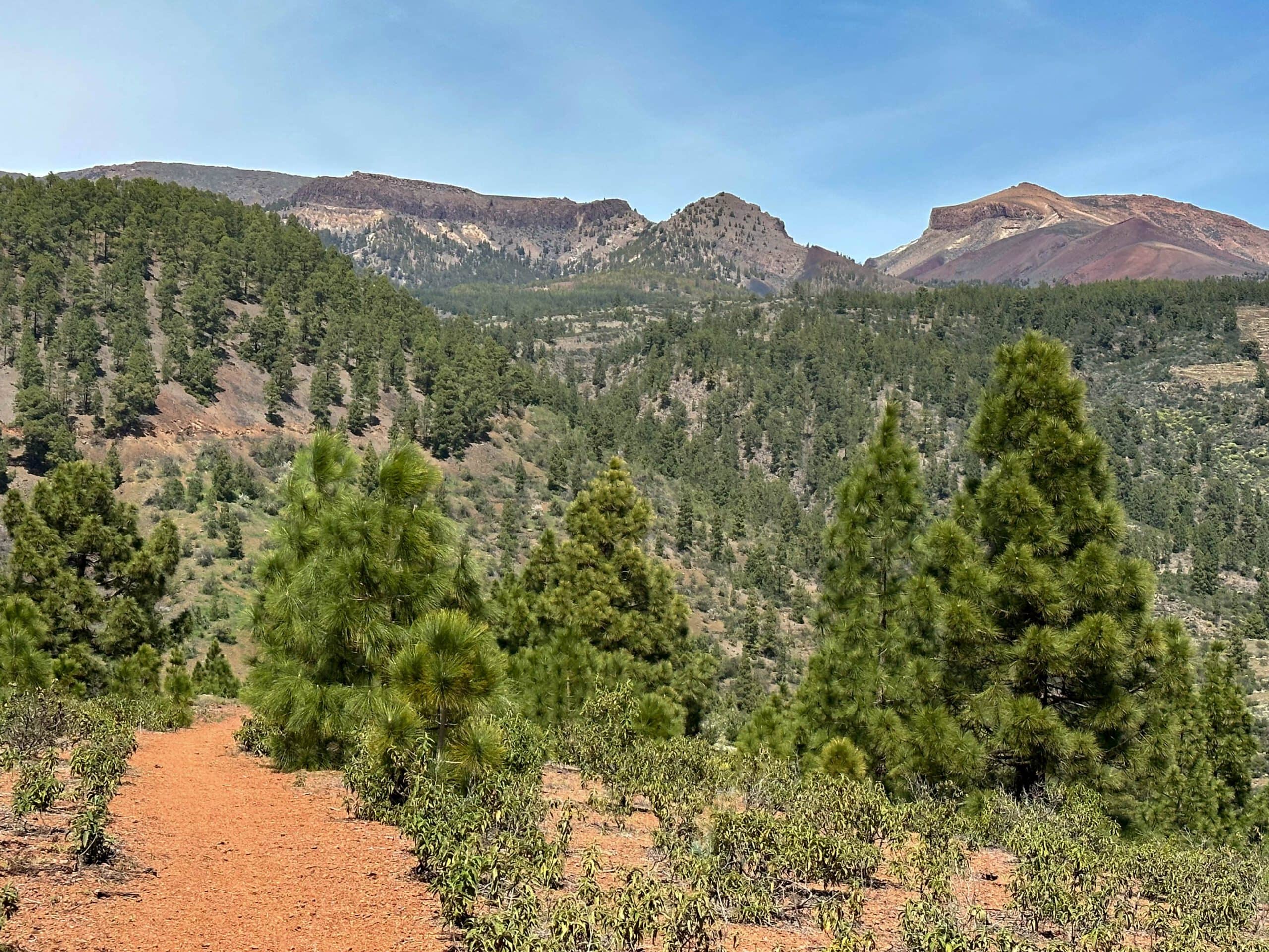 Vista desde la ruta de senderismo hacia las Cañadas y el Guajara