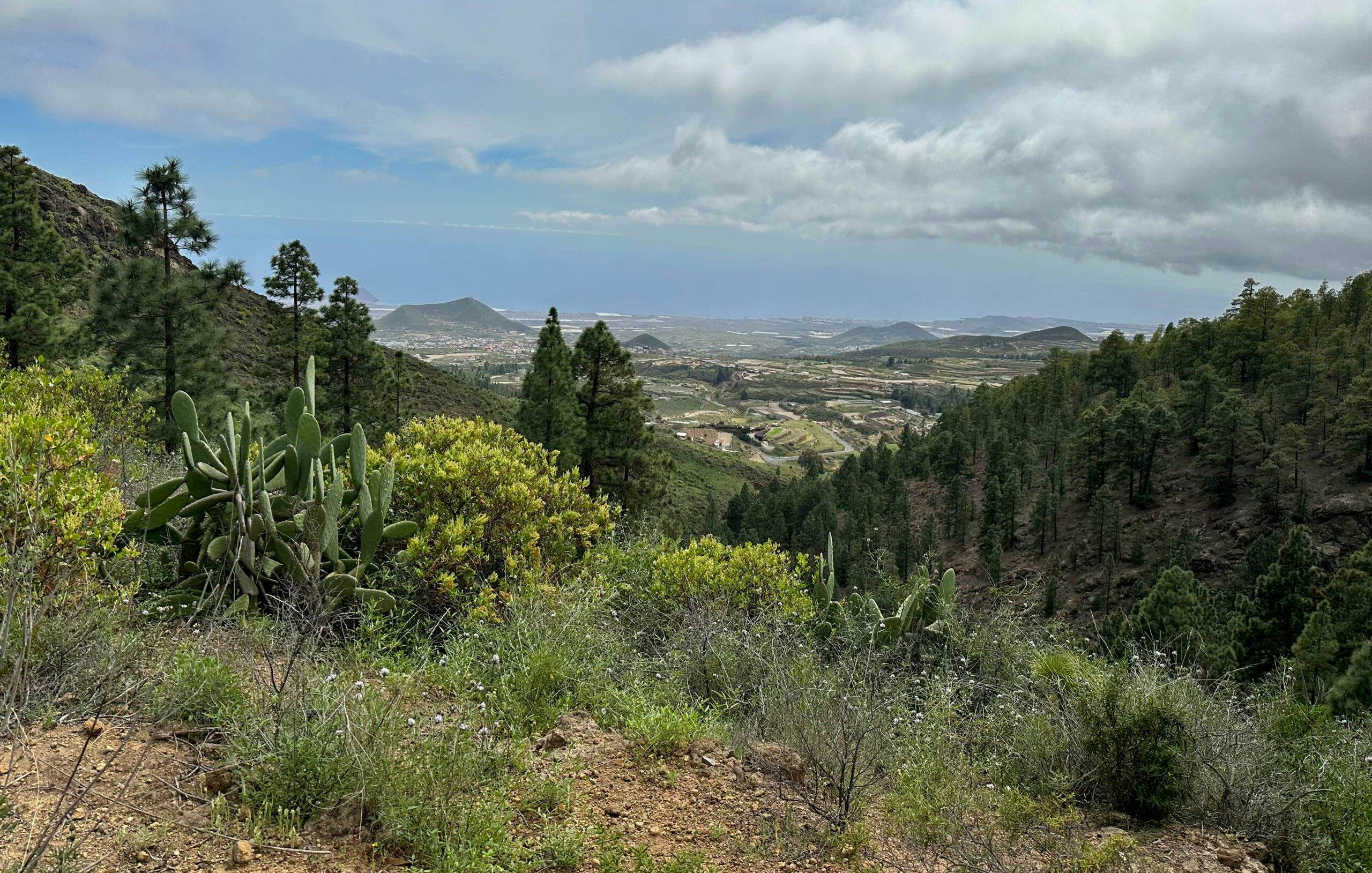 Blick vom Abstiegspfad Montaña Colorada auf Cruz de Tea