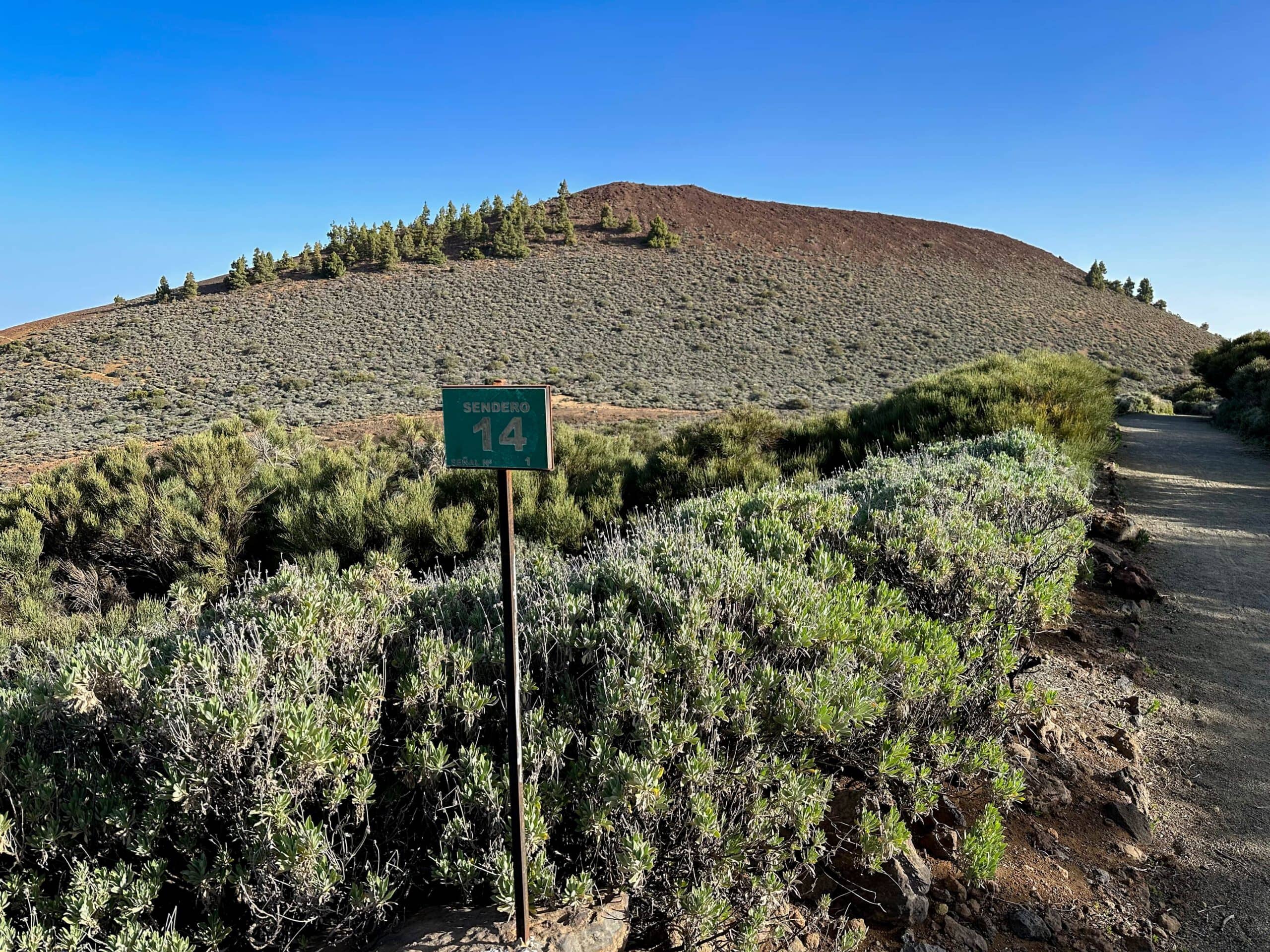 Sendero 14 to El Alto de Guamaso (in the background)