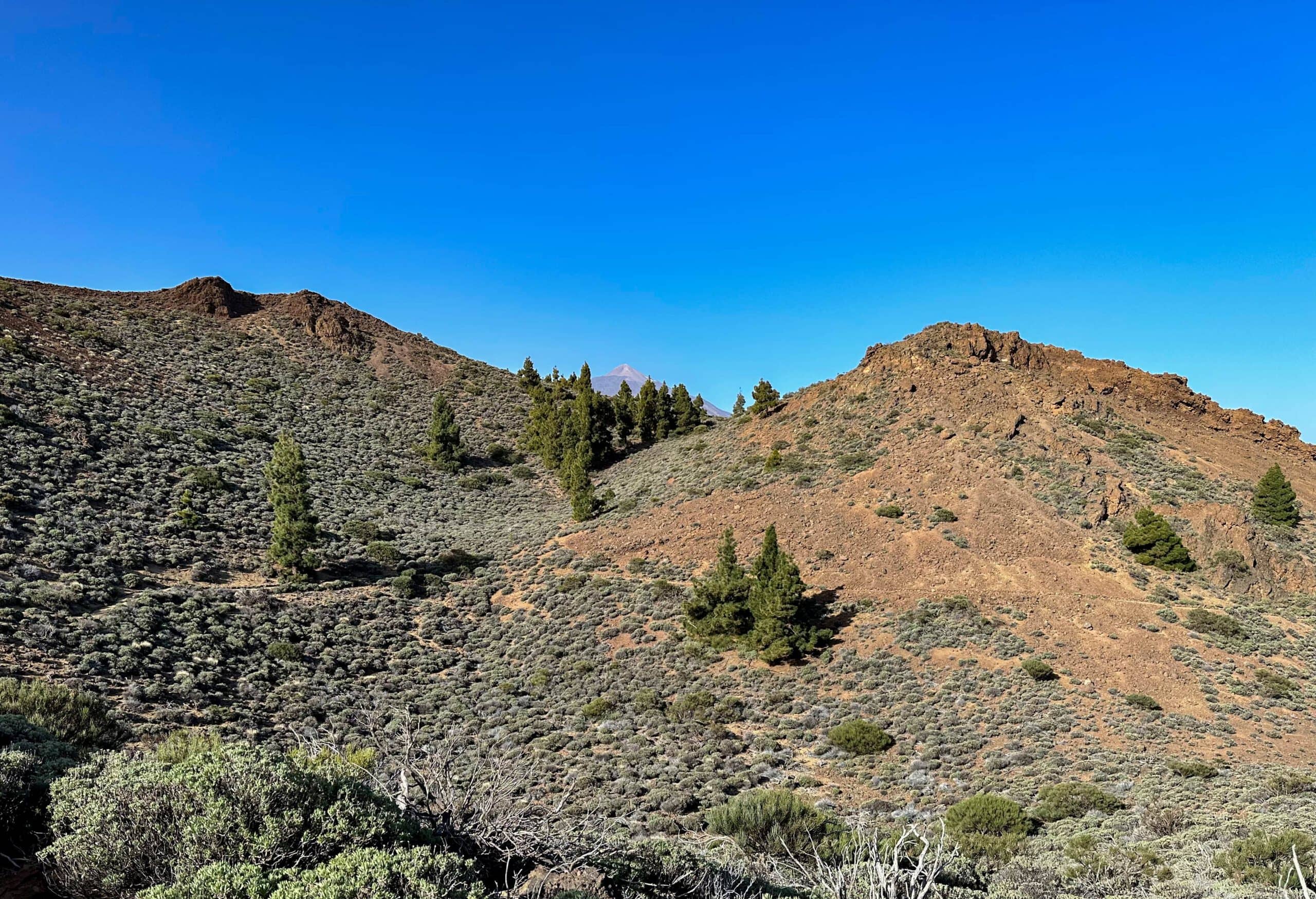 Hiking trail GR-131 in the upper part below El Alto de Guamasa down to Aguamansa