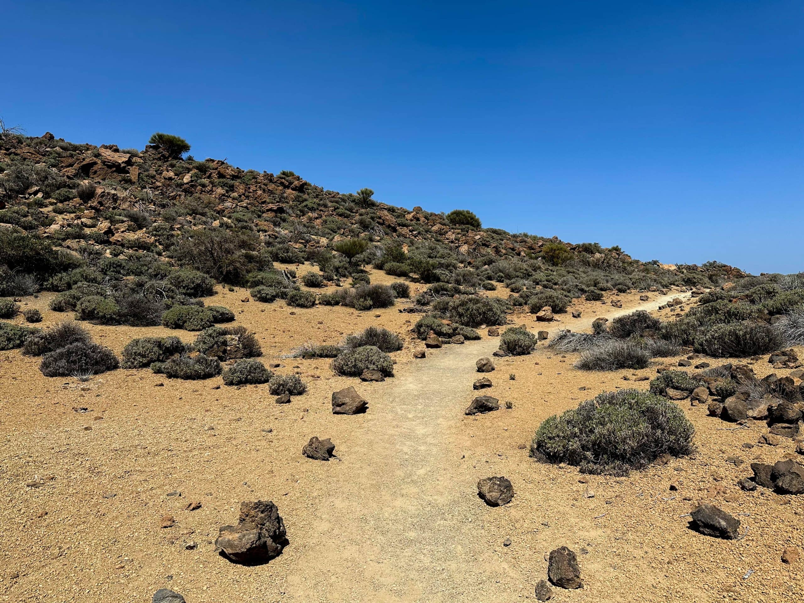 Hauptwanderweg zwischen der Fortaleza und  El Portillo