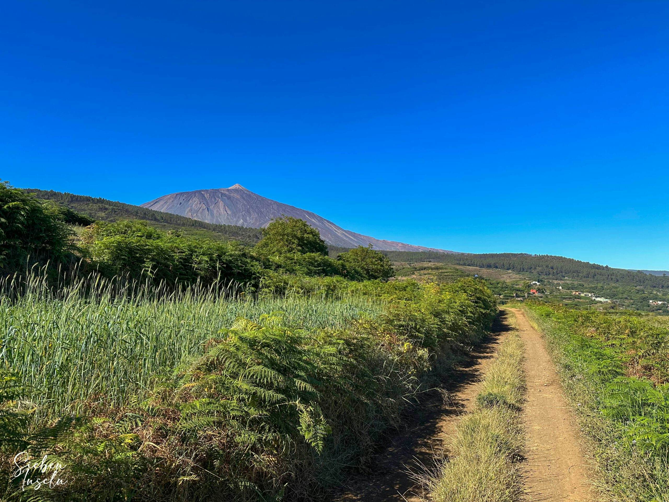 View of the Teide from the hiking trail (Jakobsweg Tenerife)