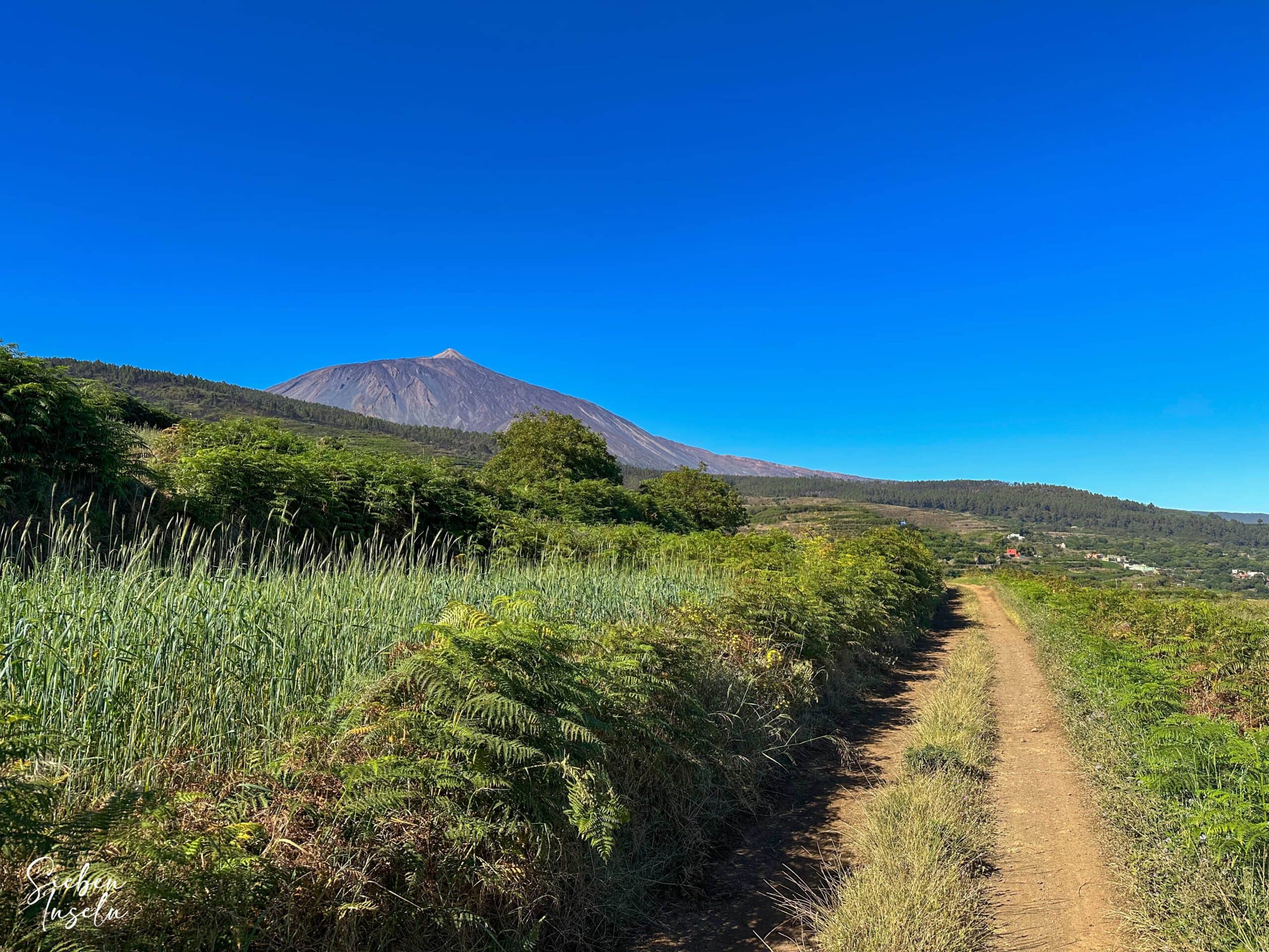 Vista del Teide desde la ruta de senderismo (Camino de Santiago Tenerife)