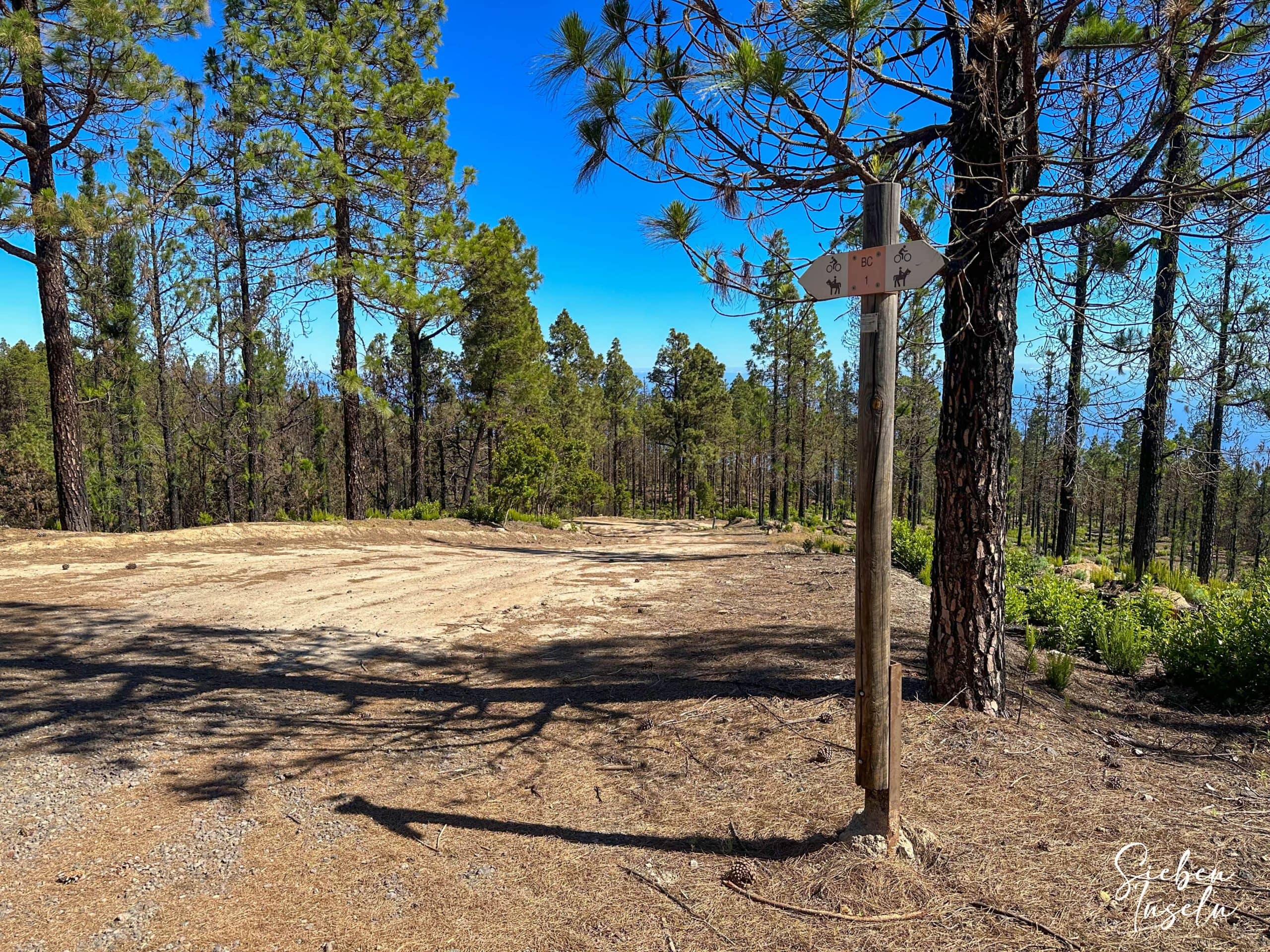 Here the ascent trail through the pine forest meets the long-distance trail BC 1