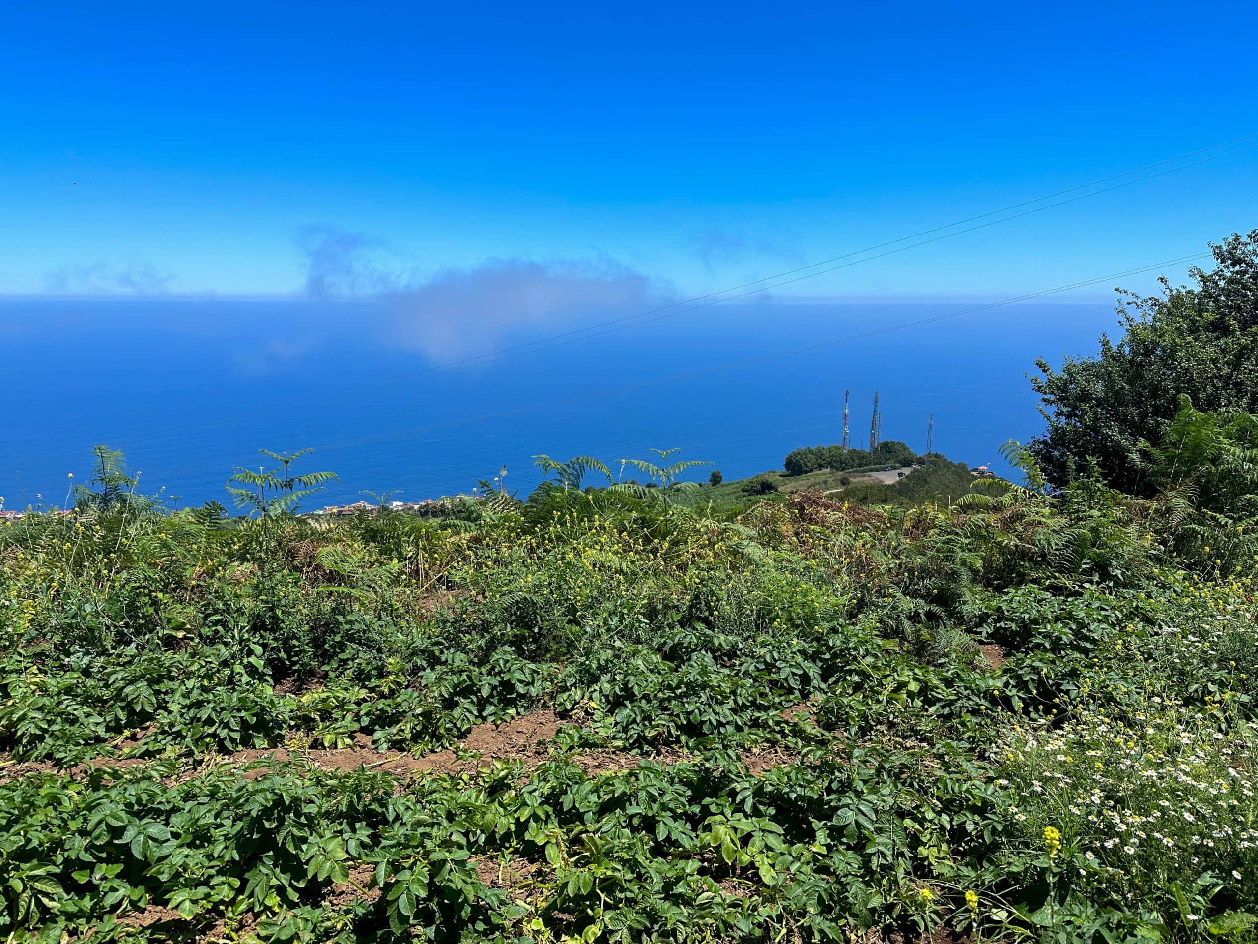 Blick vom Abstiegsweg auf den Mirador de La Corona