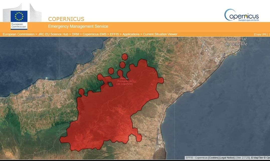 the area affected by the fire in Tenerife