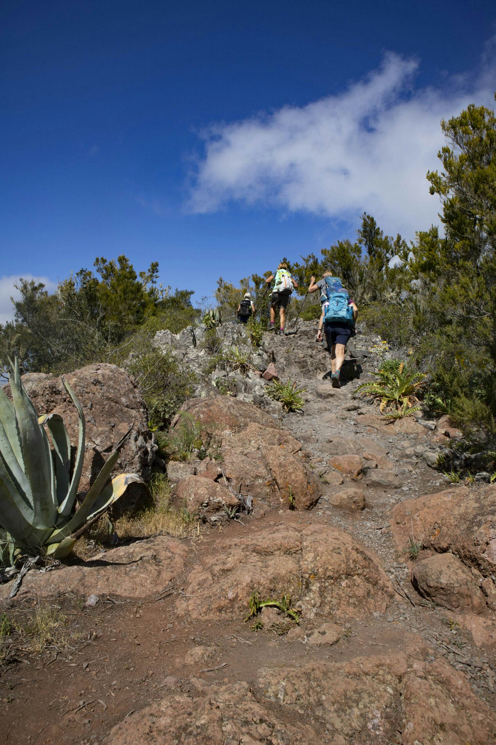 Hikers on the ascent path behind the El Palmar junction to the summit path