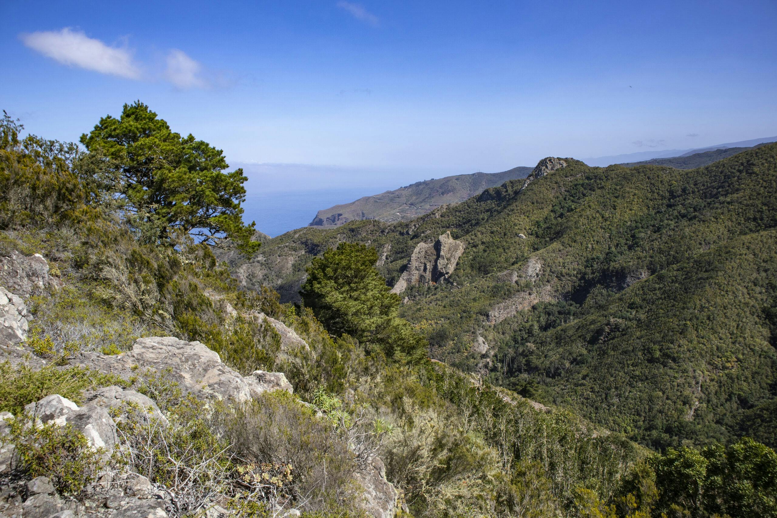 Talavera – challenging Teno circular hike past old hamlets