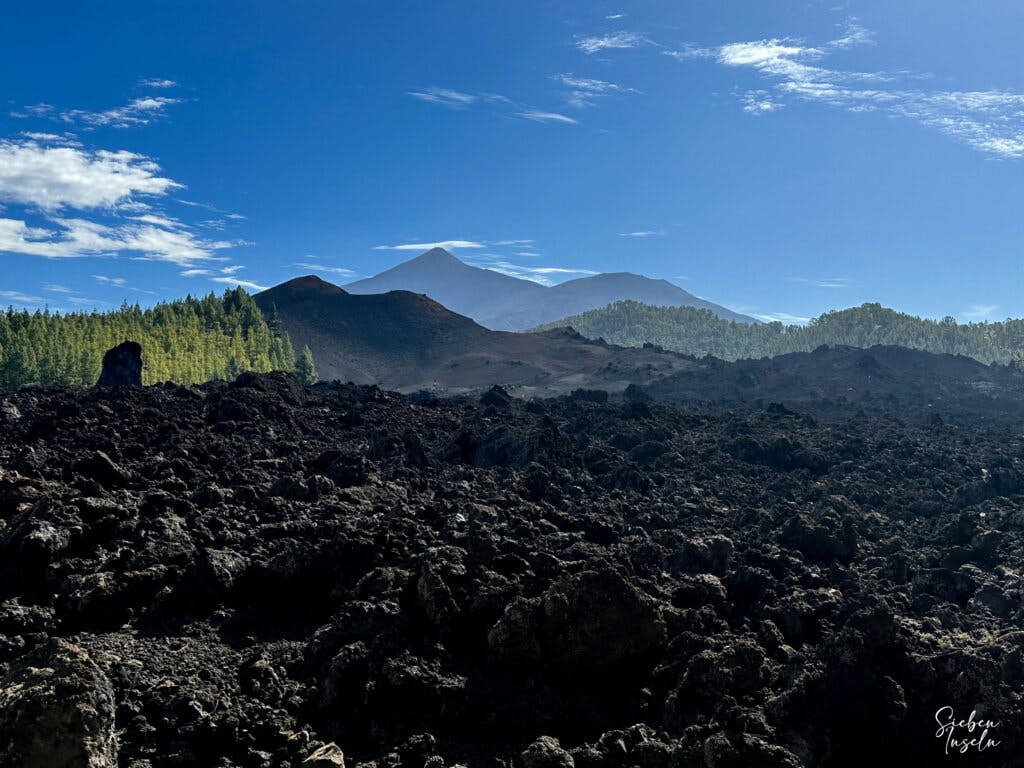 Hiking in Tenerife - the south-west - view of Teide, Pico Viejo and Chinyero over the lava river