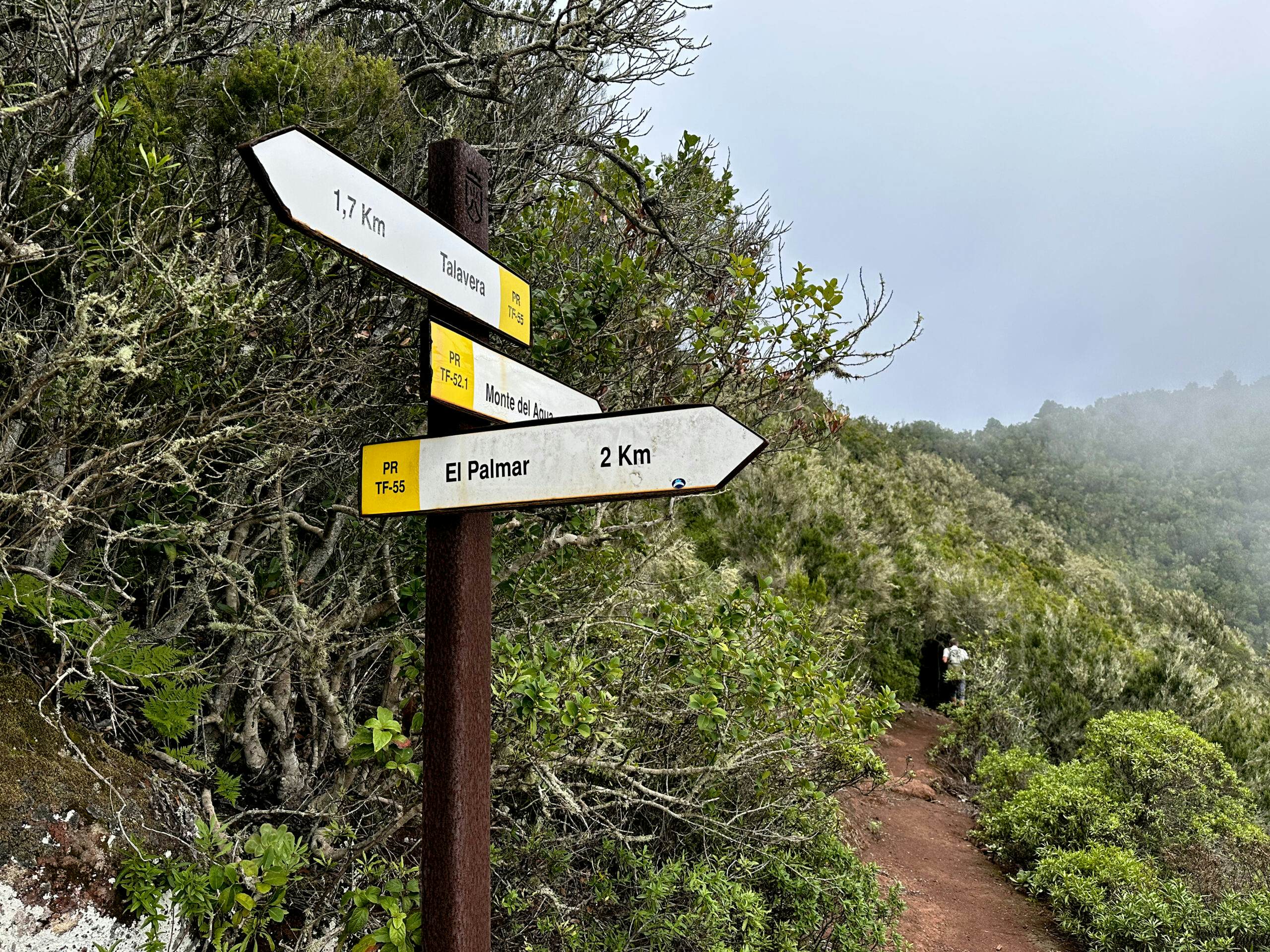 Hiking trails TF 52.1 and TF-55 cross high above El Palmar
