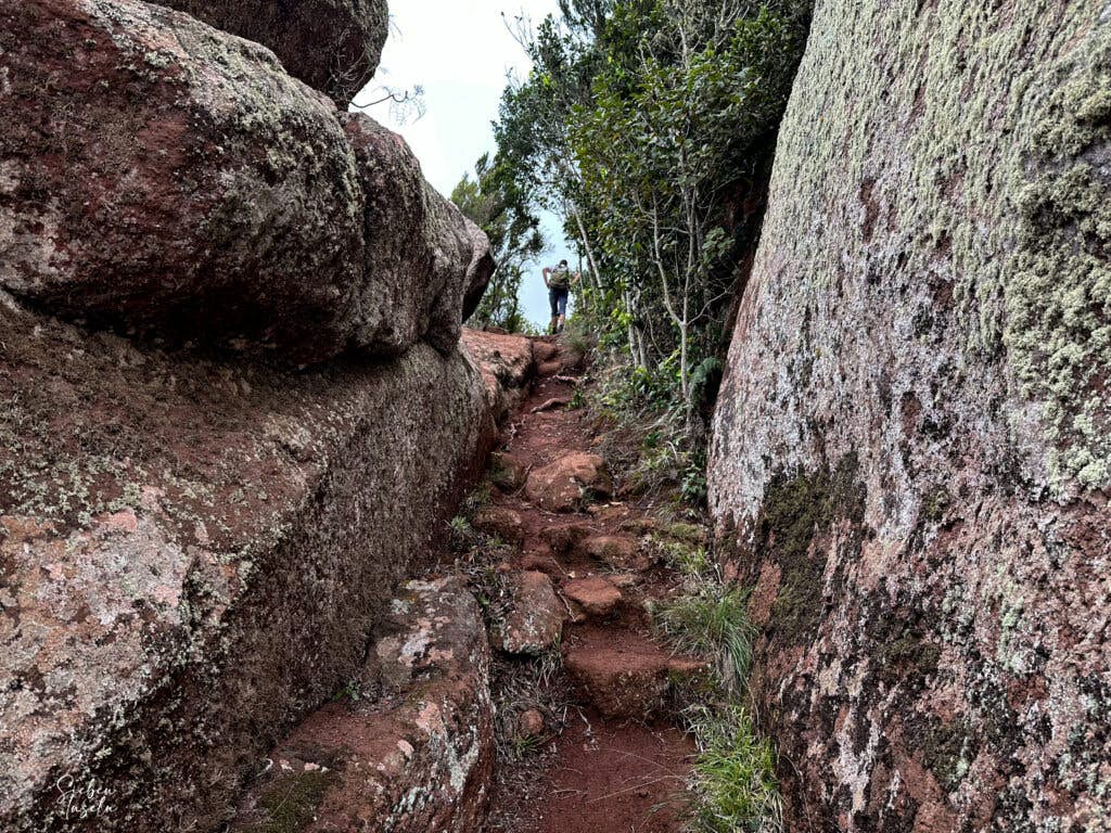 Wanderweg zwischen hohen Felsen