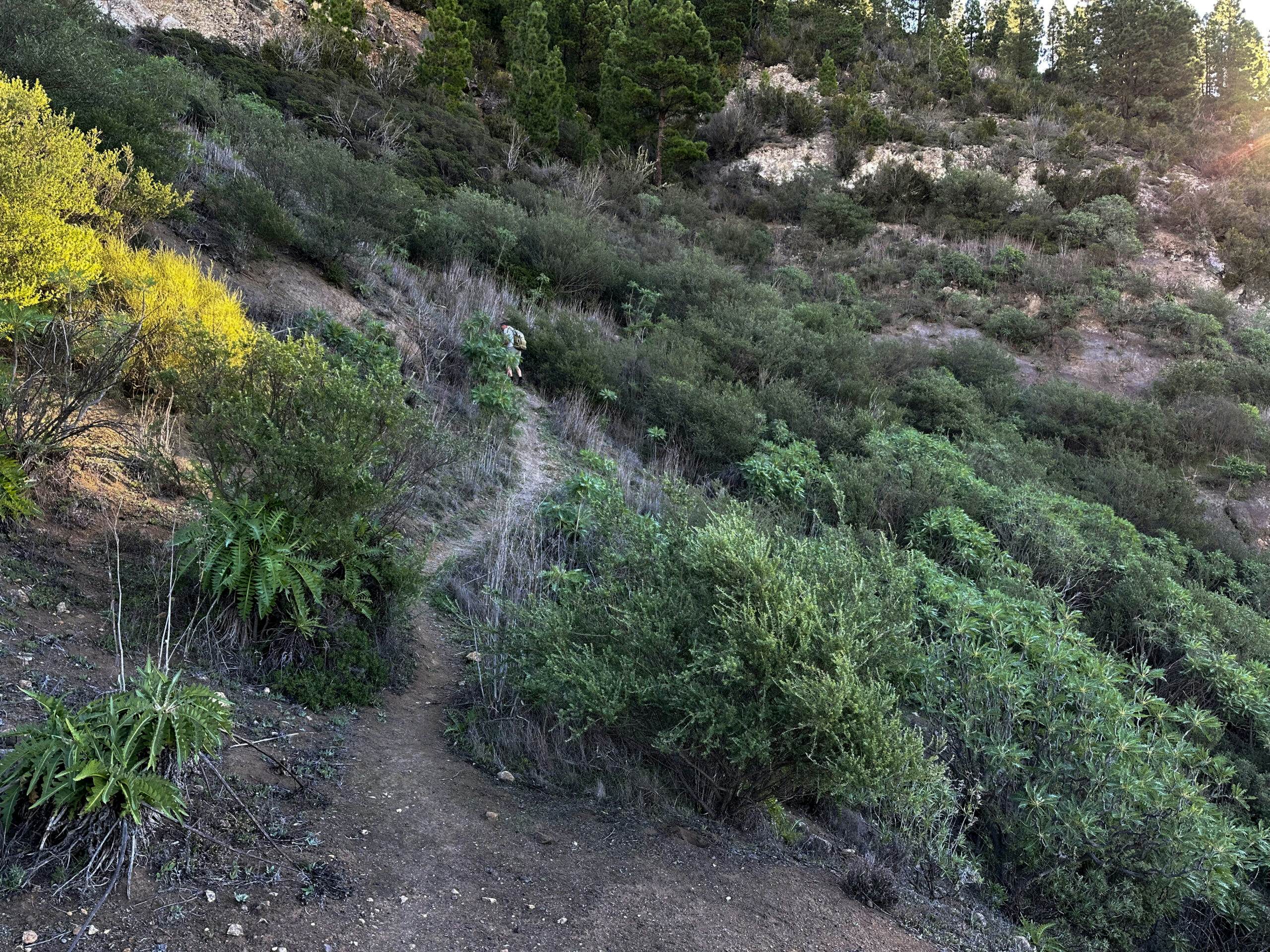 steiler Aufstieg zum Wanderweg über Valle de Arriba