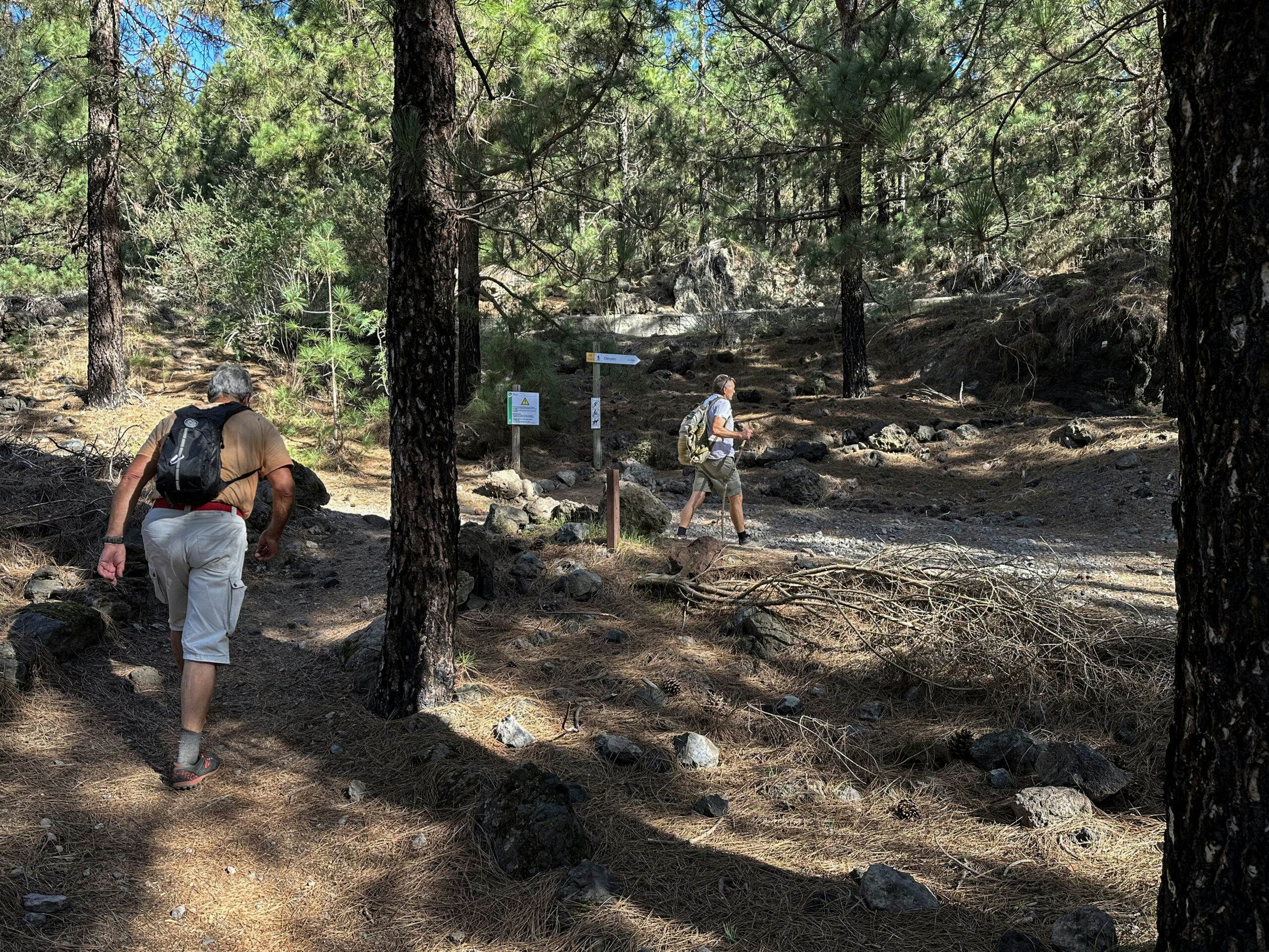 Hikers on the hiking trail in the forest towards the Chinyero volcano