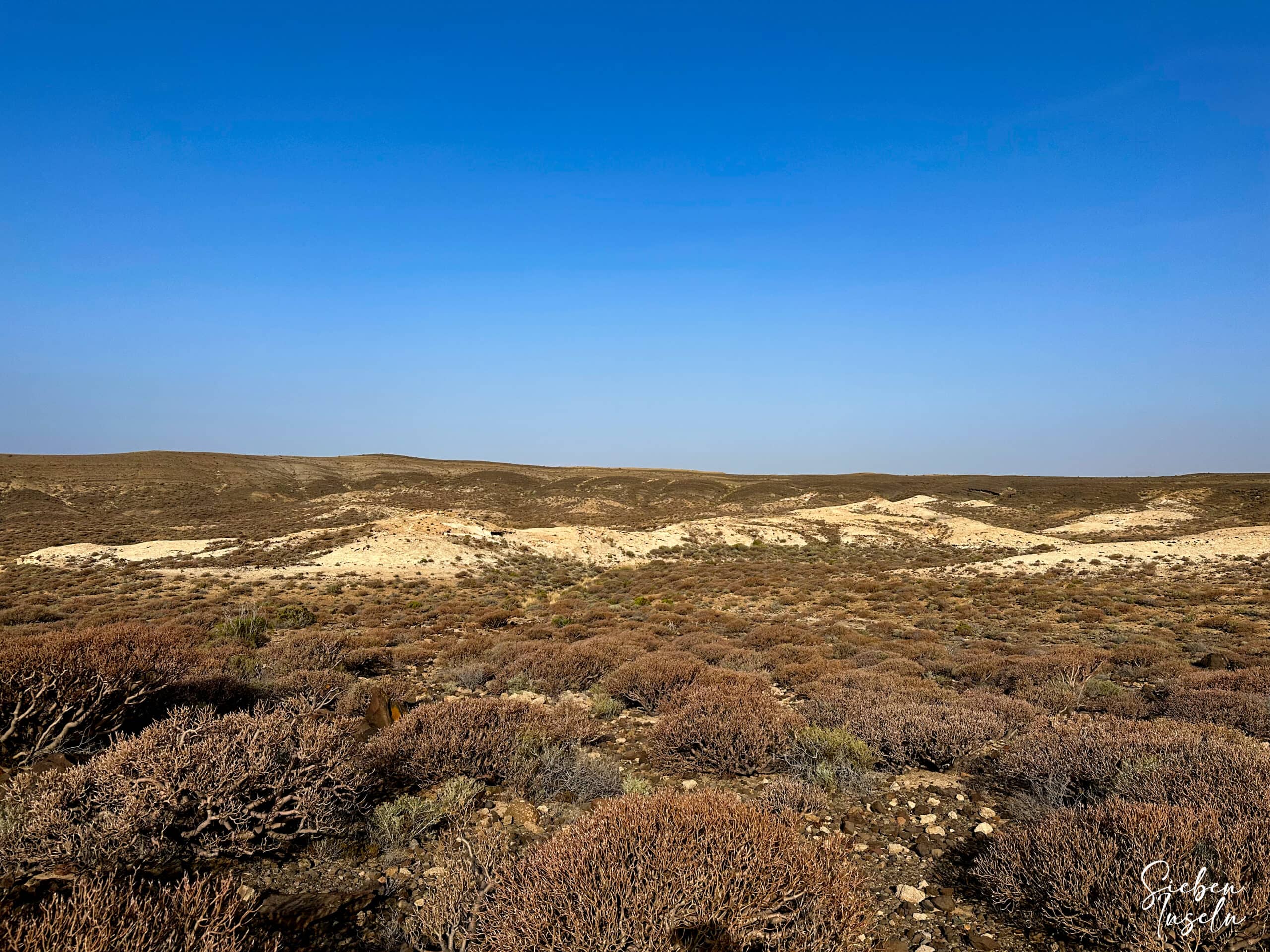 Blick über den Krater der Montaña Pelada