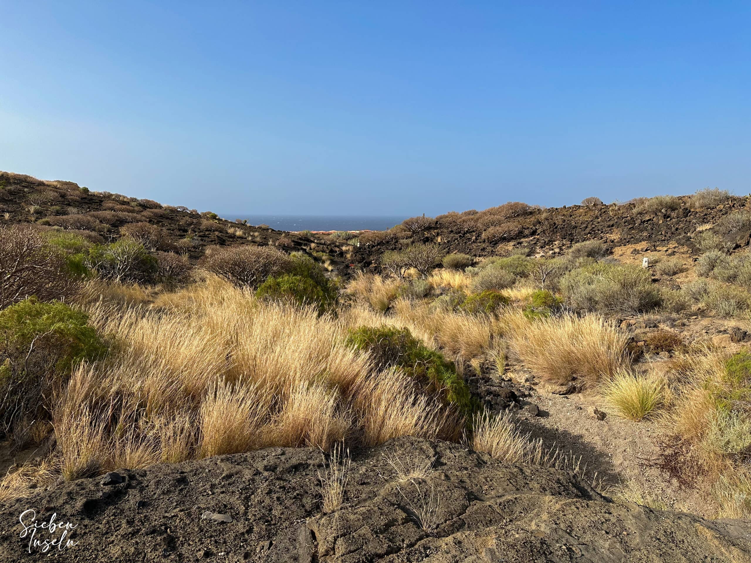 Hiking trail through the barranco at the foot of Montaña Pelada