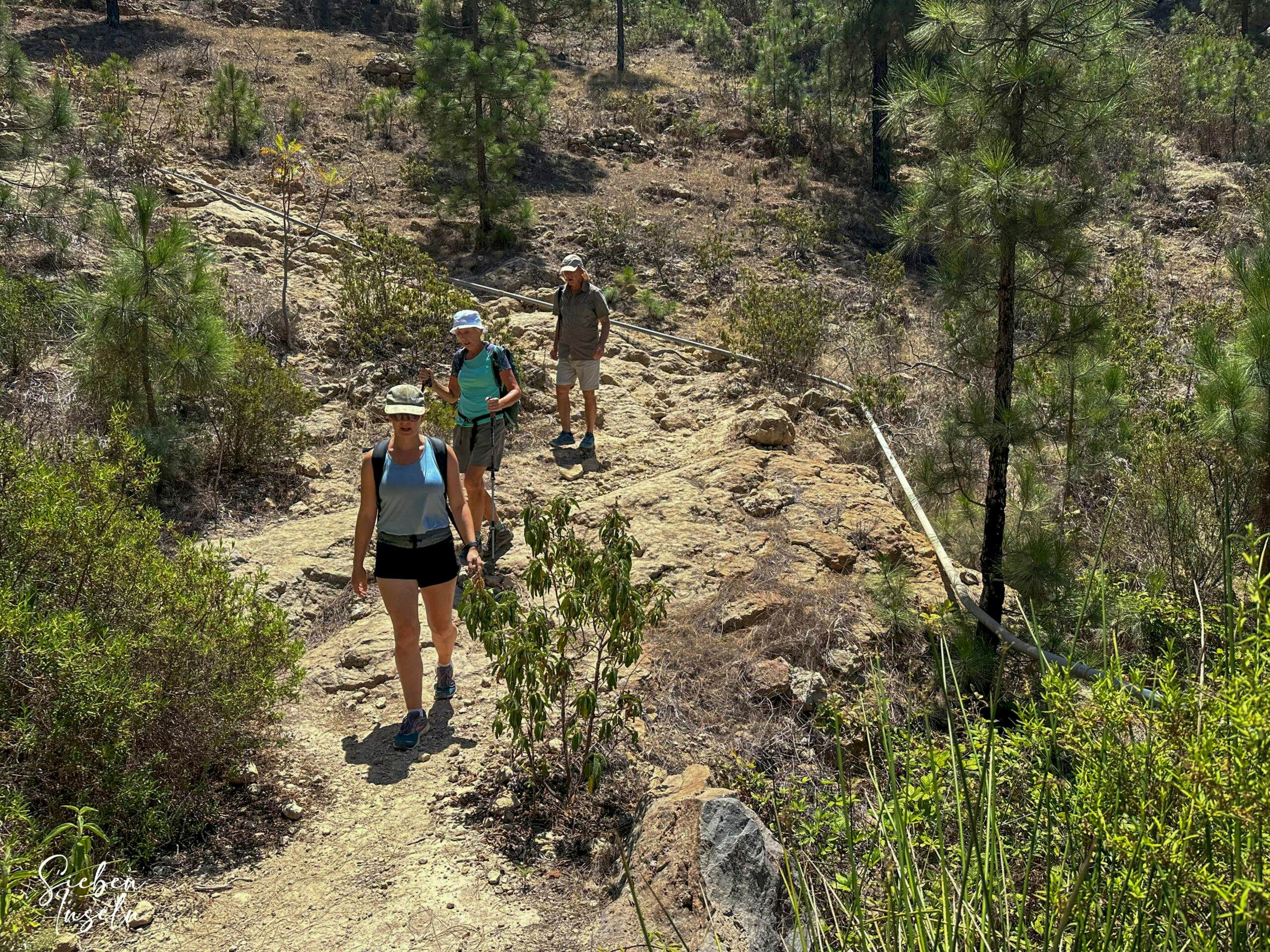 Hikers on the way back from Casa de Teresme to La Quinta