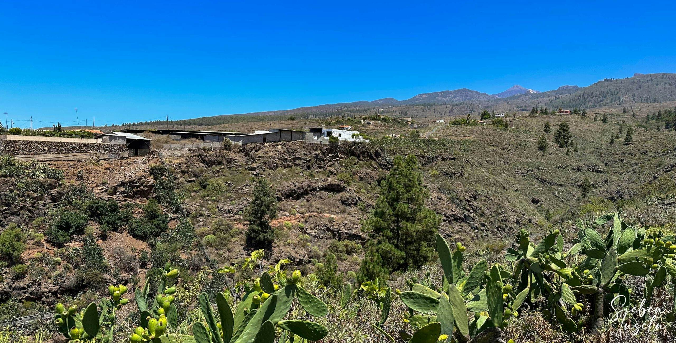 Blick vom Wanderweg hoch zu den Cañadas und dem Teide 