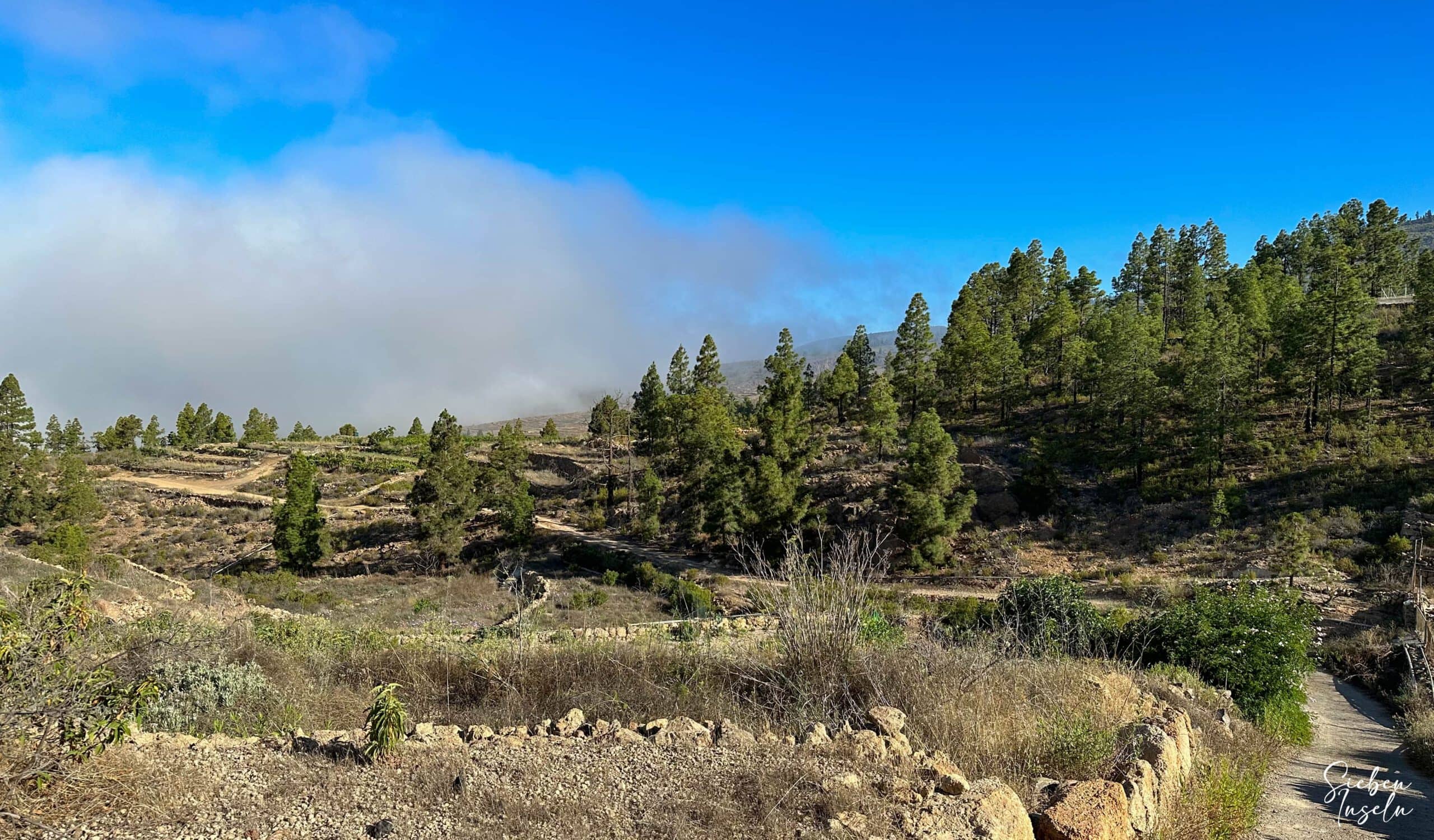 Wanderweg durch Felder und an Gehöften vorbei hoch von La Quinta zum Casa de Teresme