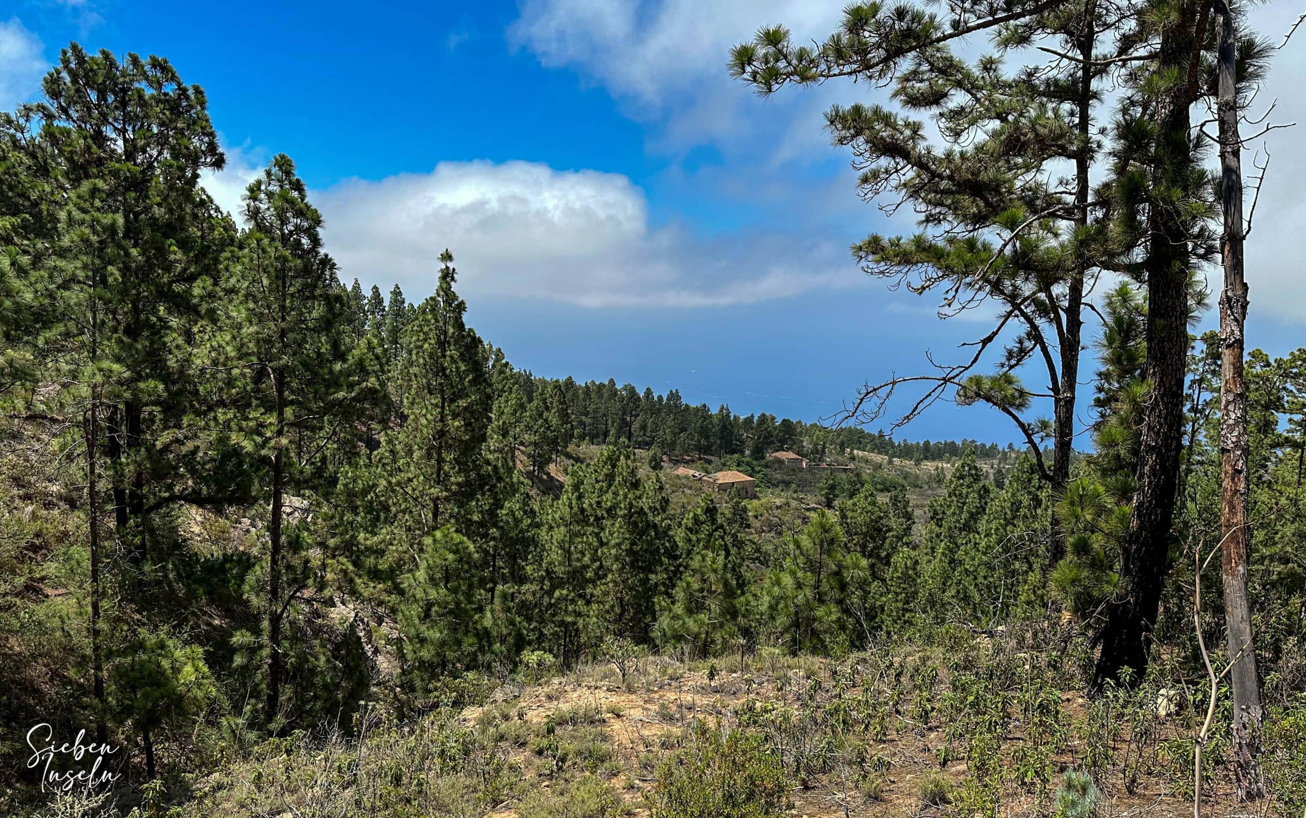 Vista de los bosques y las casas antiguas de Aserrador desde la ruta de senderismo