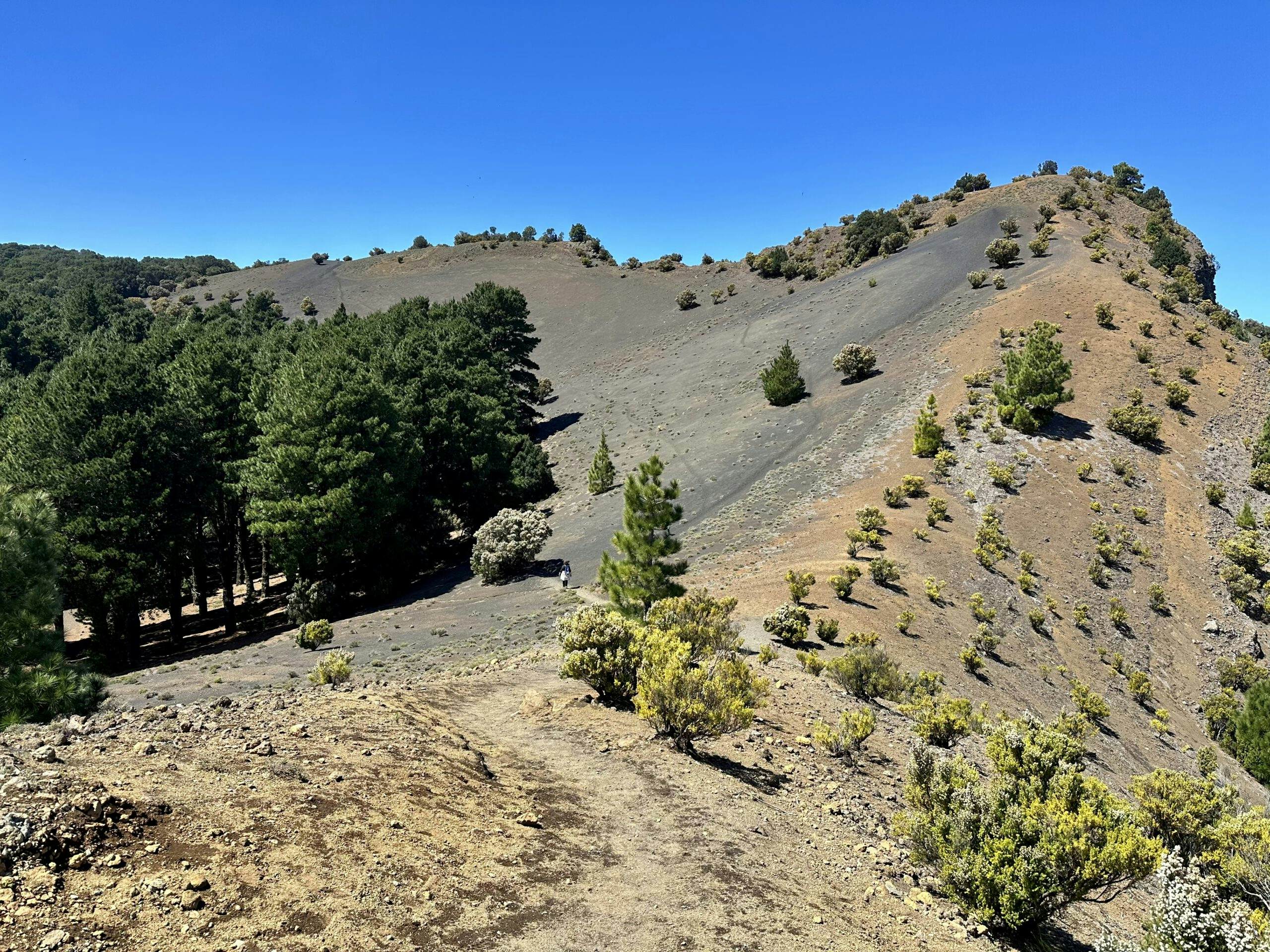 Ausblick vom Mirador de la Fireba auf den Wanderweg nahe der Cumbre - Camino de la Virgen