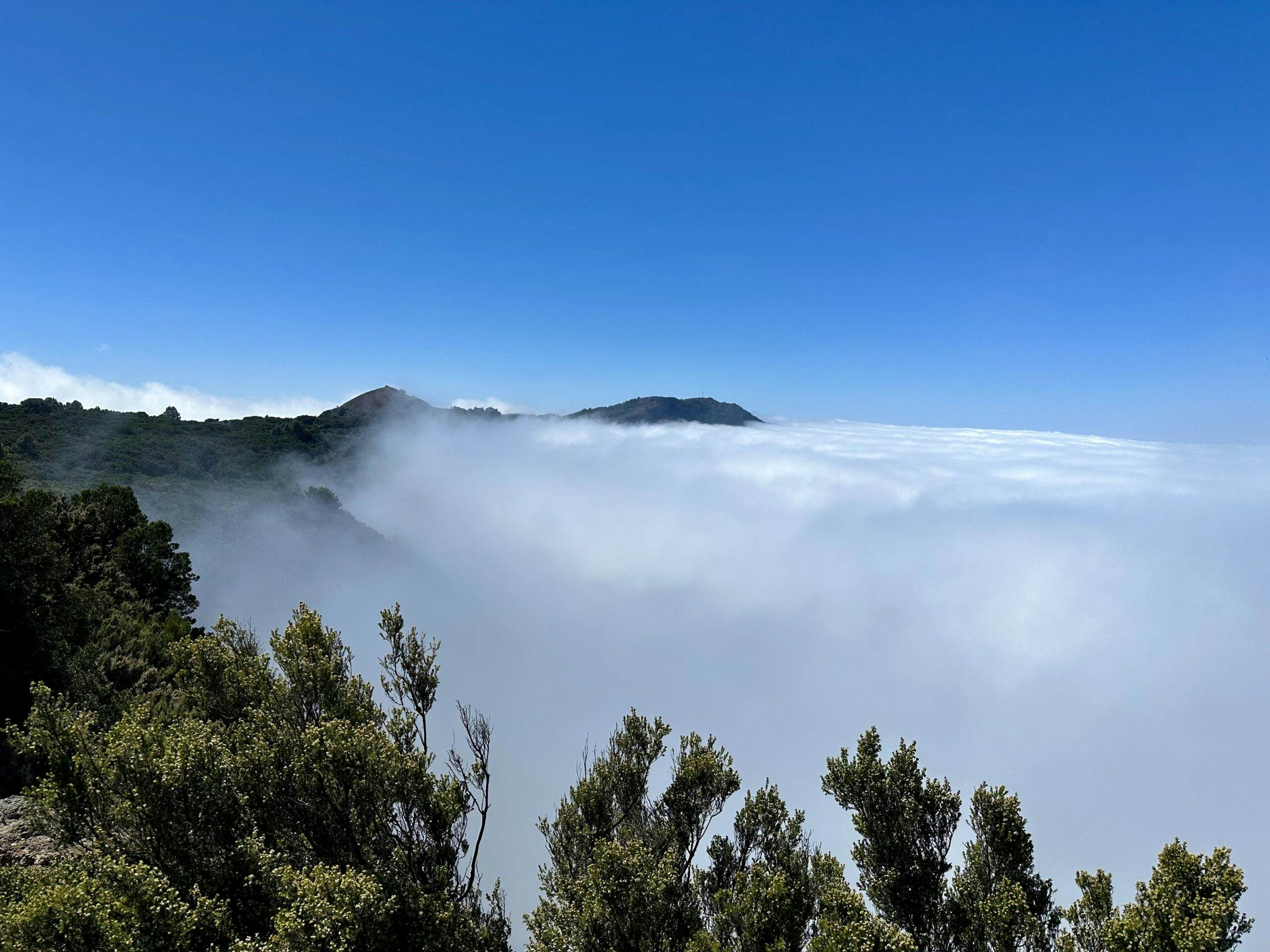 El Hierro - Nubes sobre la Cumbre - Camino de la Virgen
