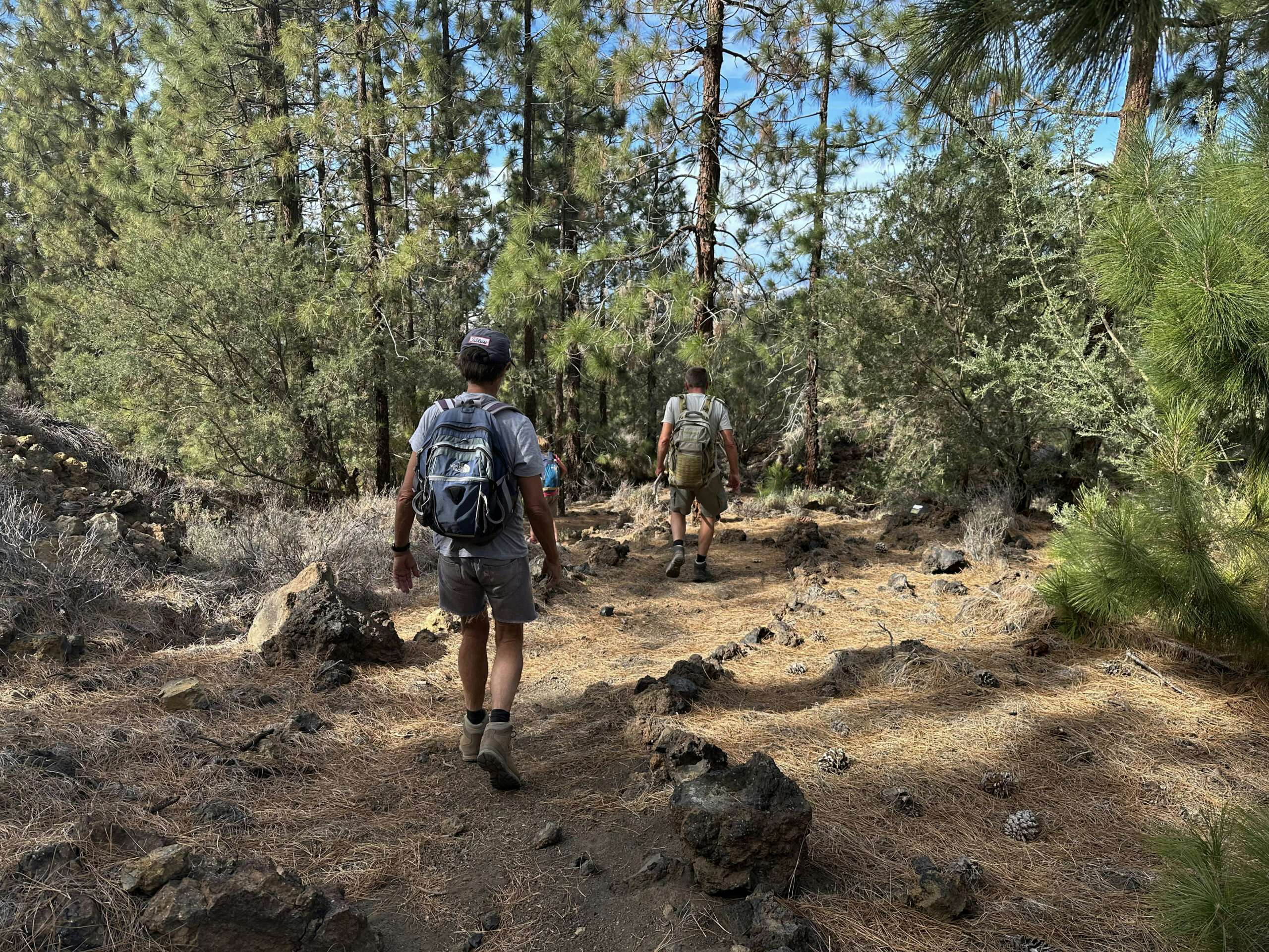 Wanderer auf dem Weg durch den Wald kurz vor dem Refugio de Chasogo