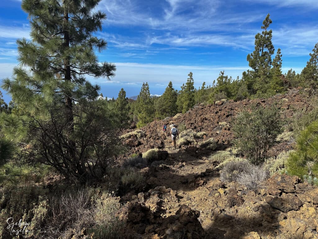 Wanderer auf dem Abstiegsweg unterhalb des Refugio de Chasogo Richtung Chirguergue