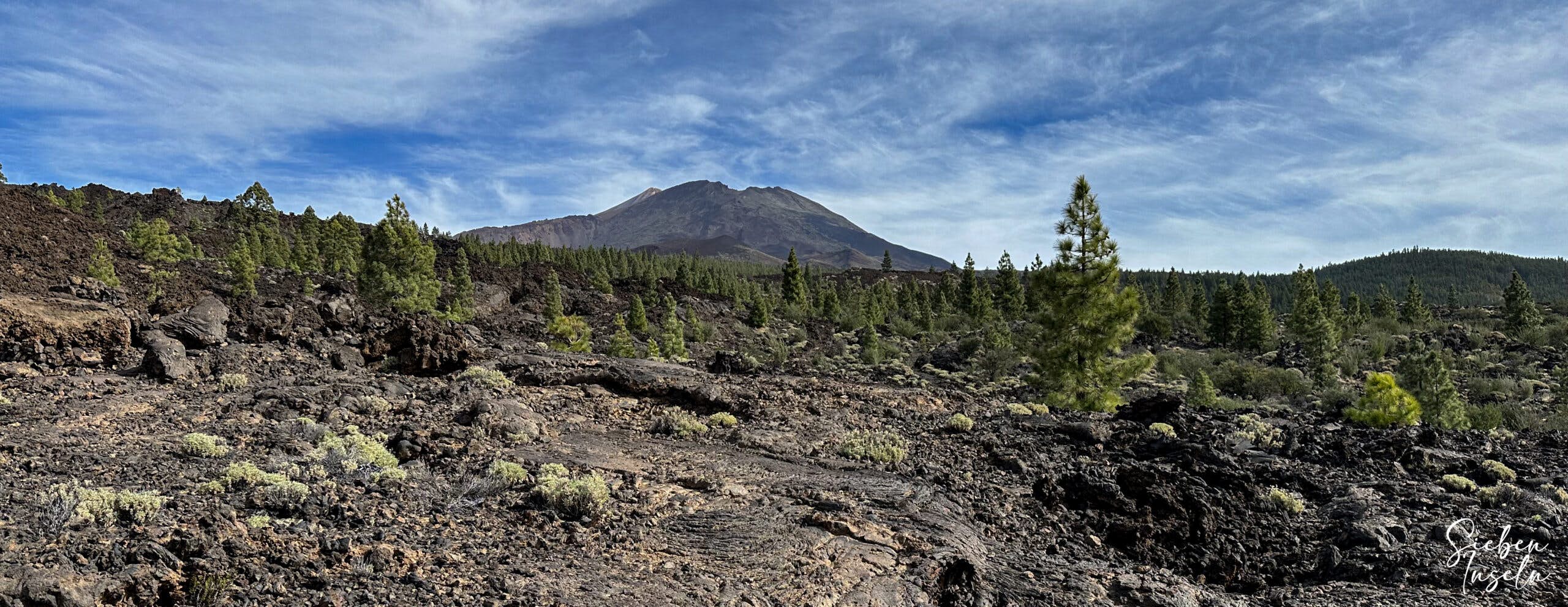 Hiking trail through volcanic rock and pine trees with views of the Teide and Pico Viejo